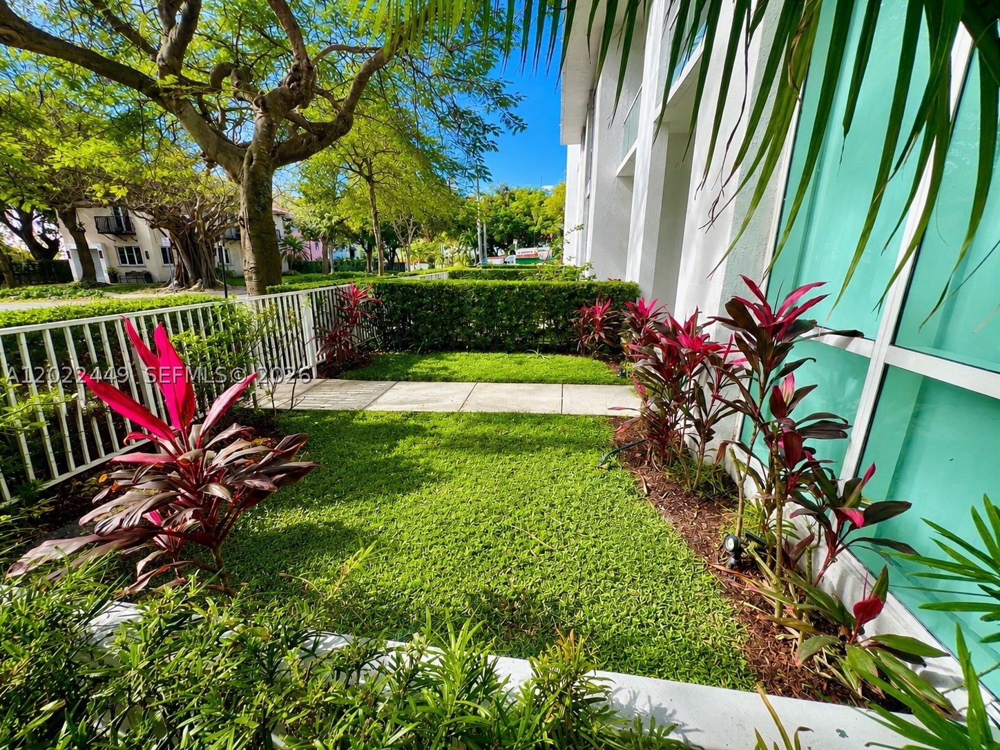 Miami photo 2
