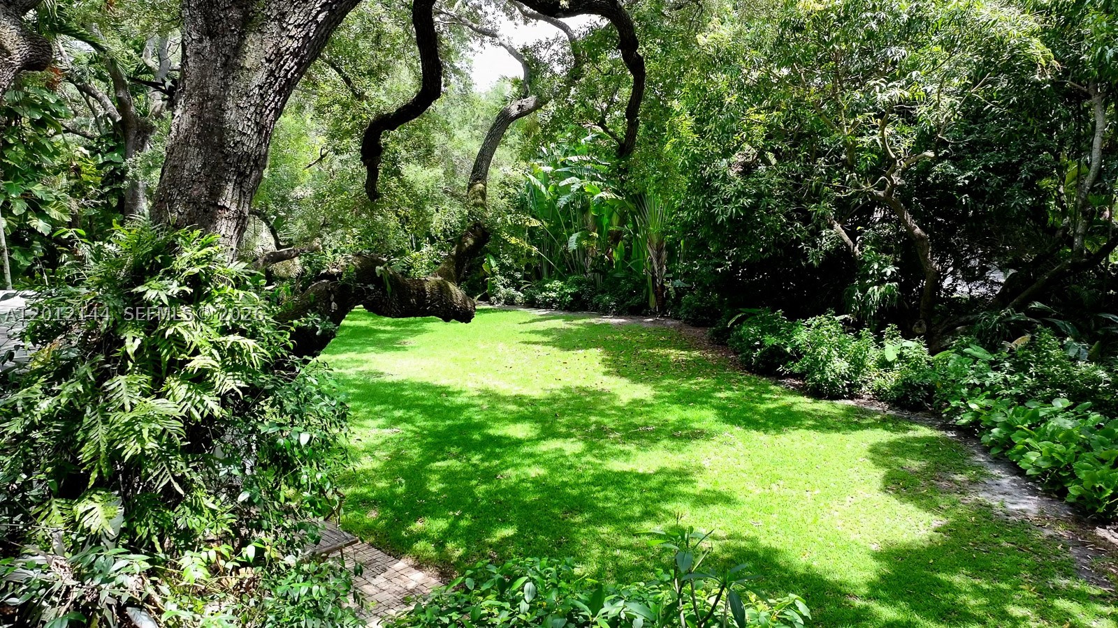Miami photo 4