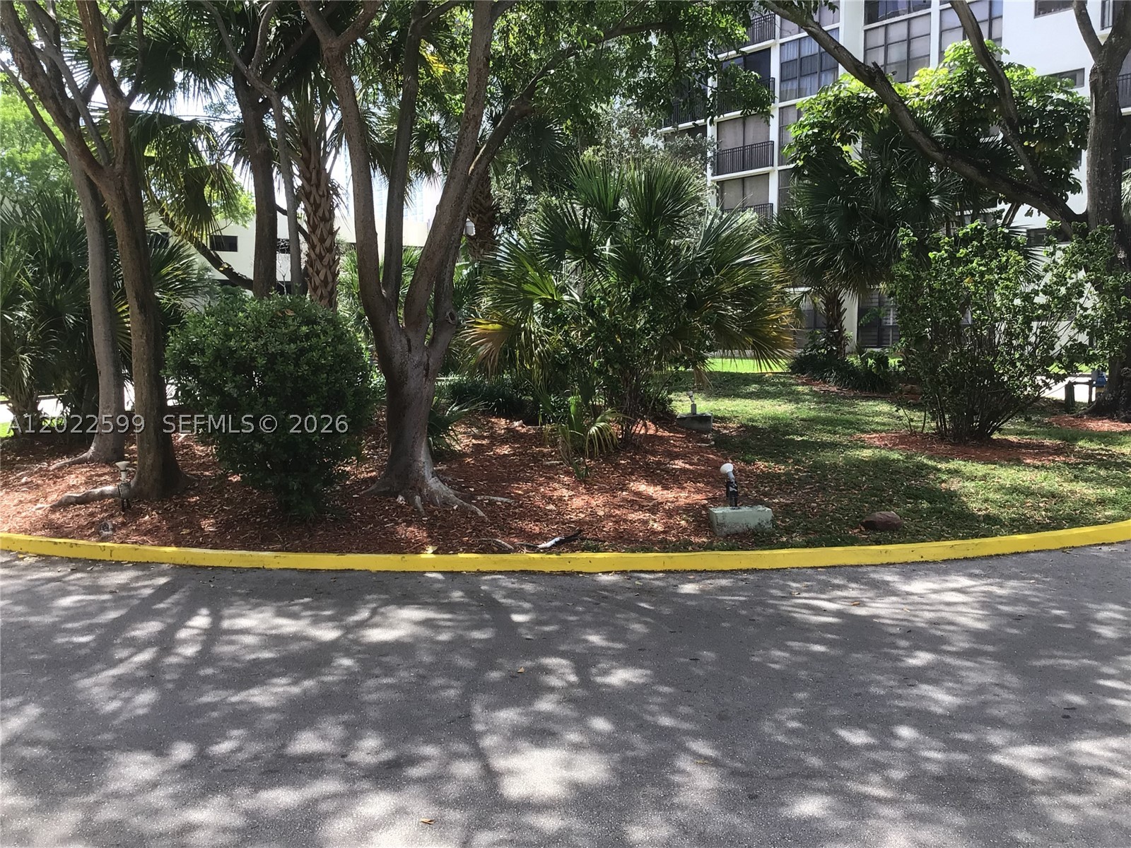 Sunny Isles Beach photo 3