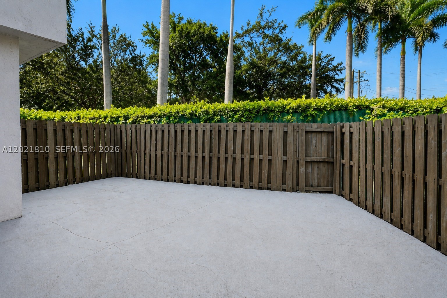 Doral photo 2