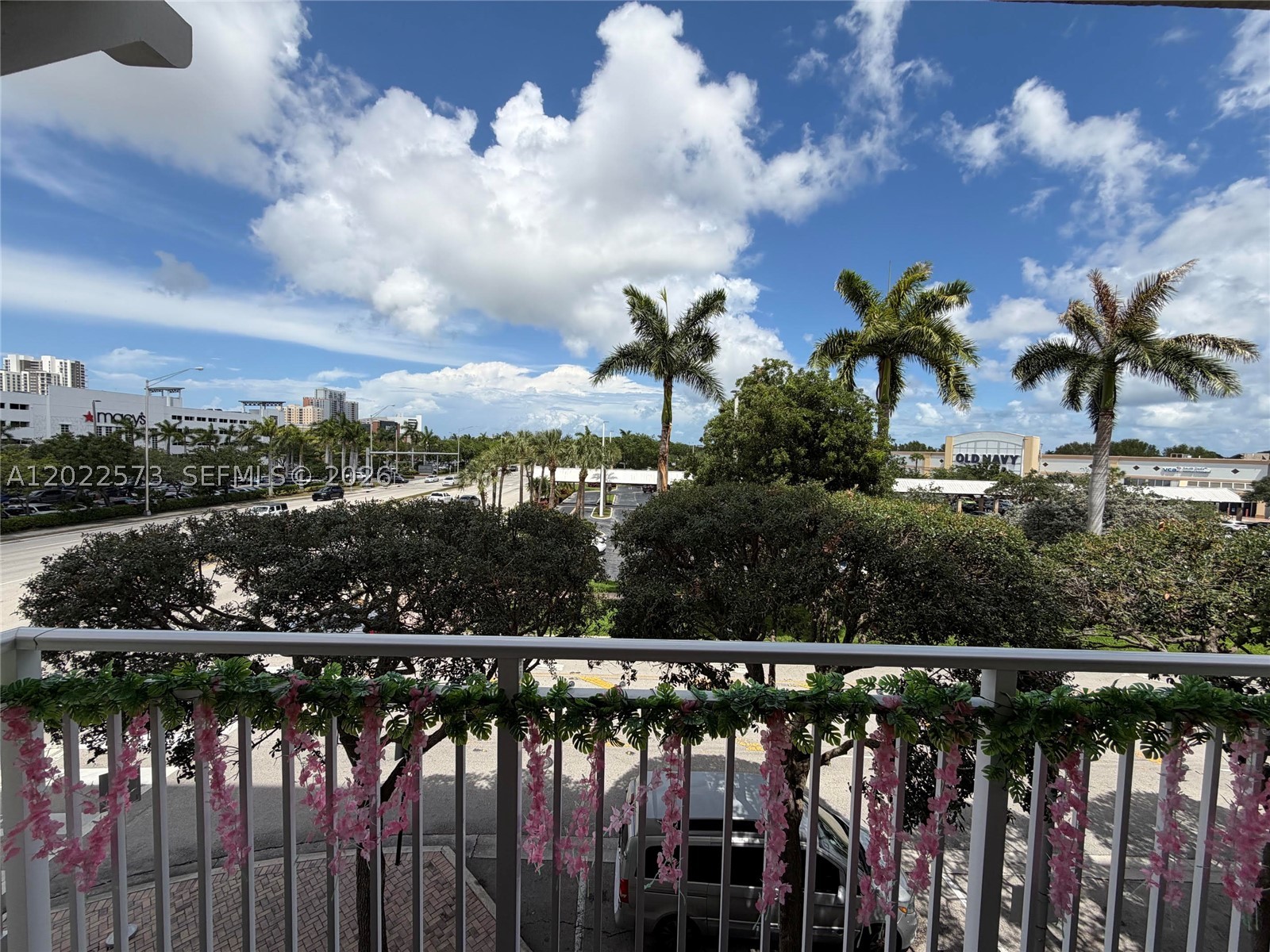 Miami photo 3