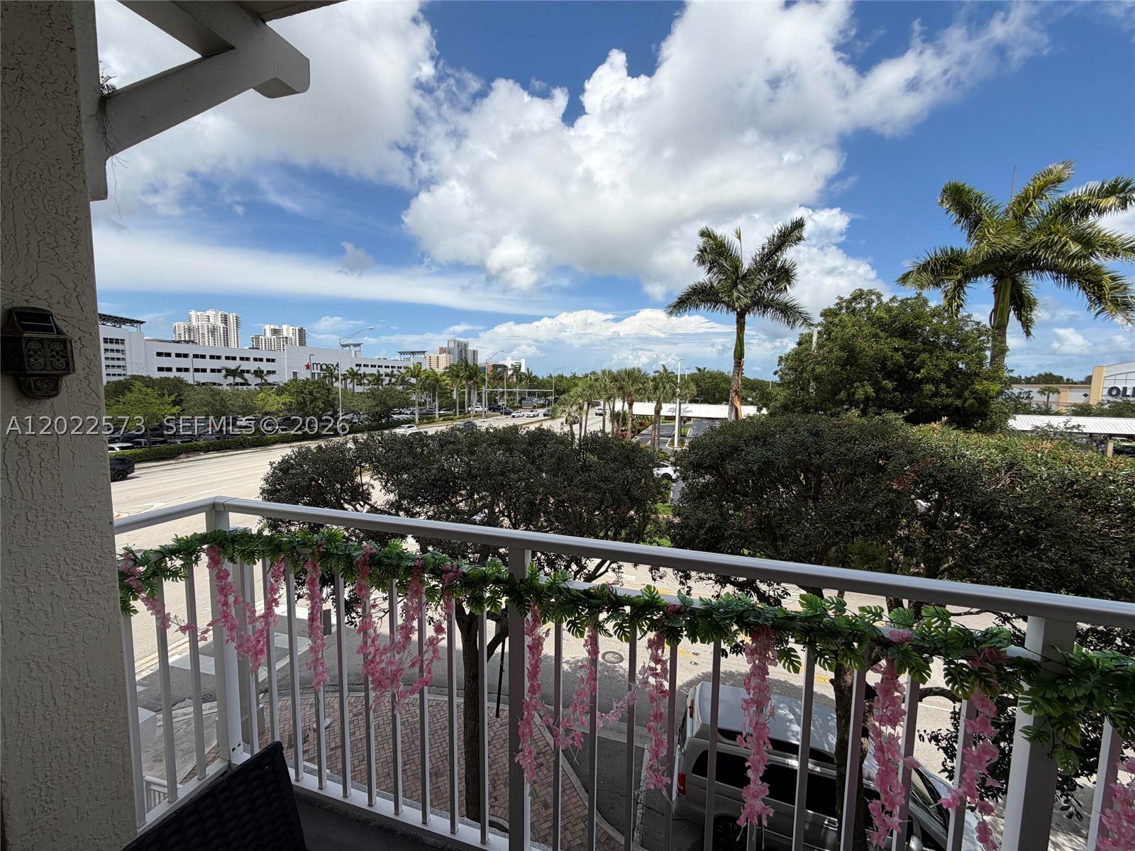 Miami photo 5