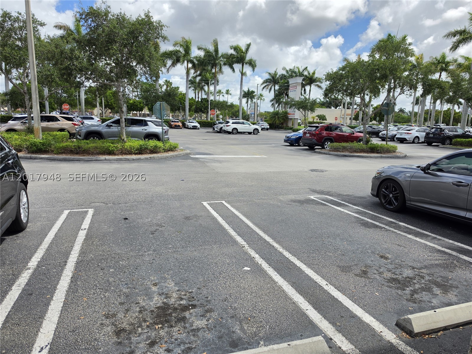 Miami photo 4