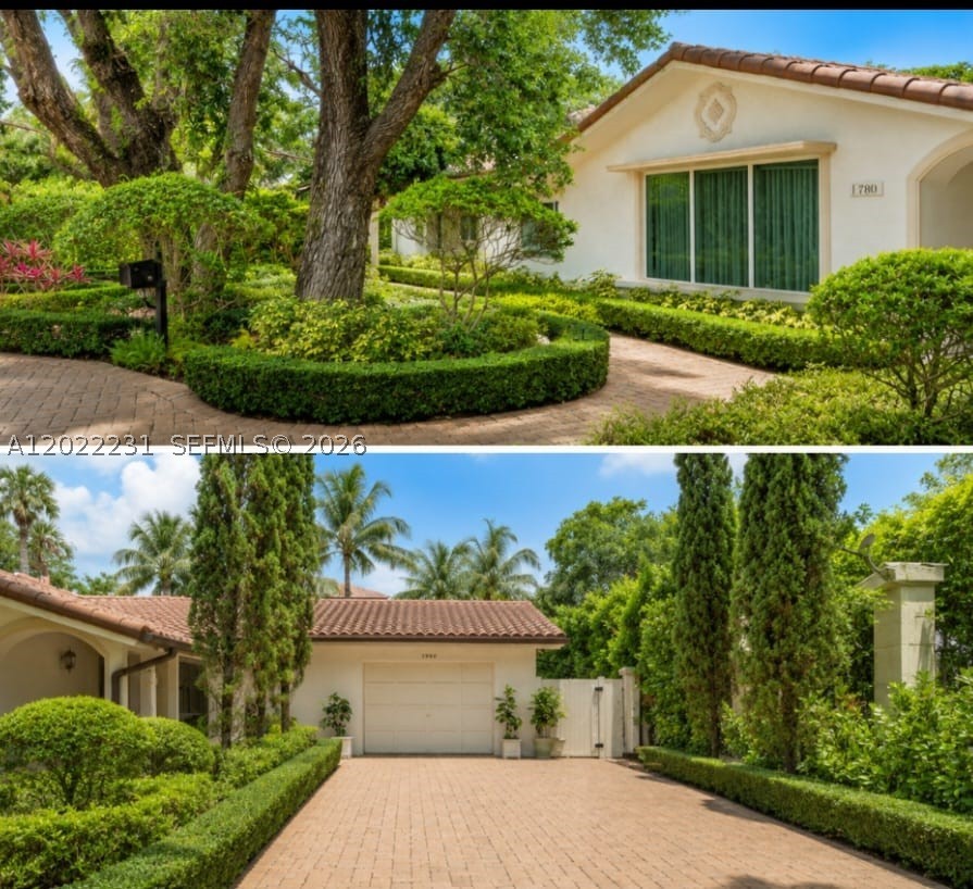 Miami photo 3