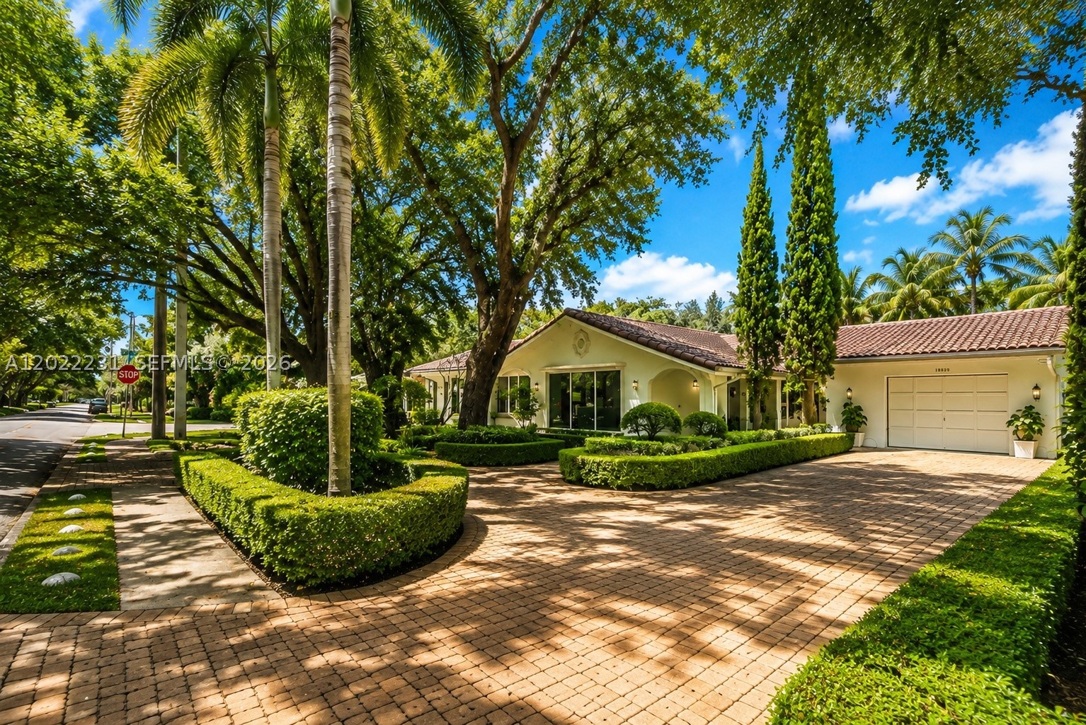 Miami photo 4