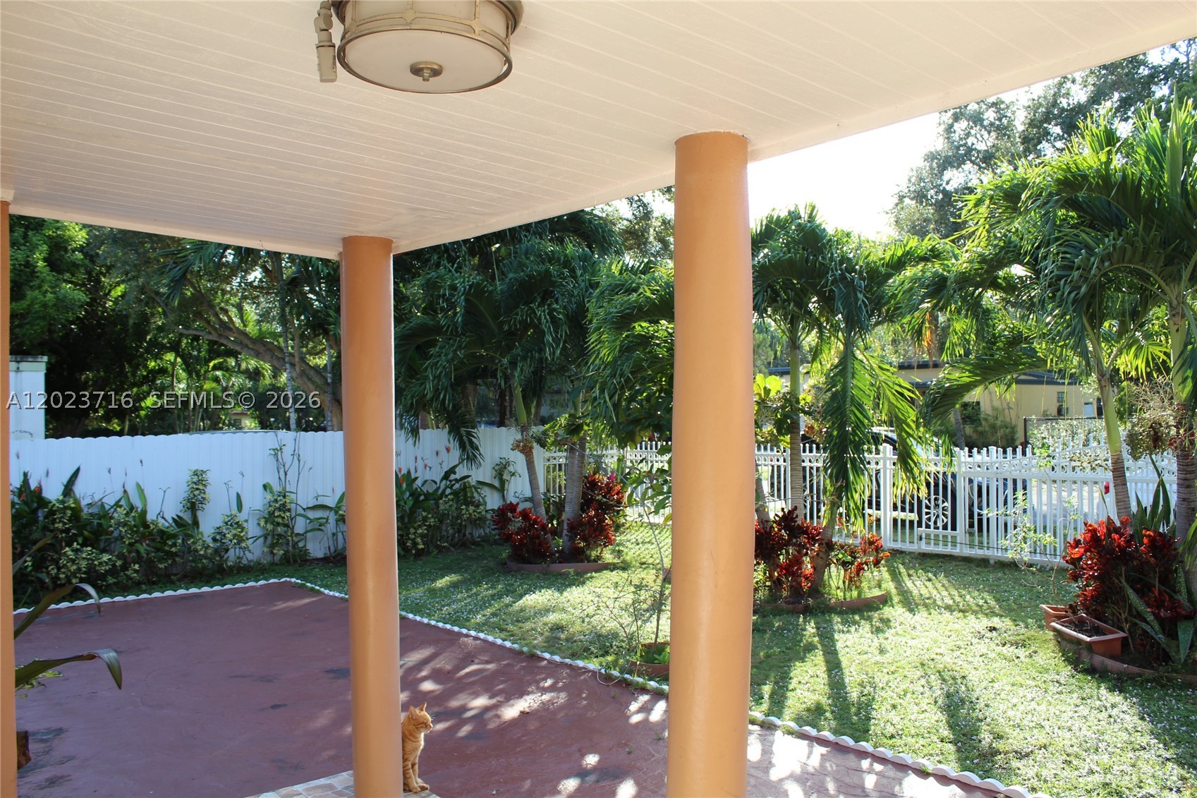 North Miami photo 5