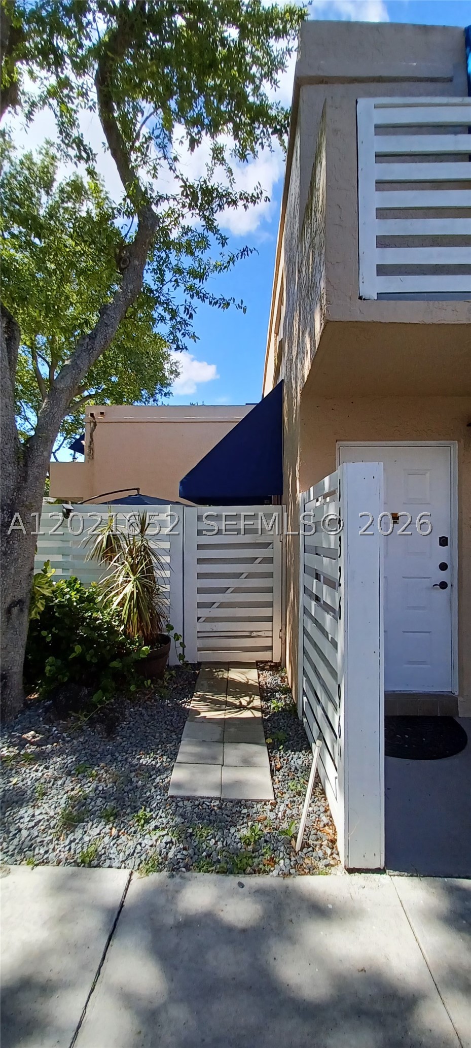 Miami photo 3