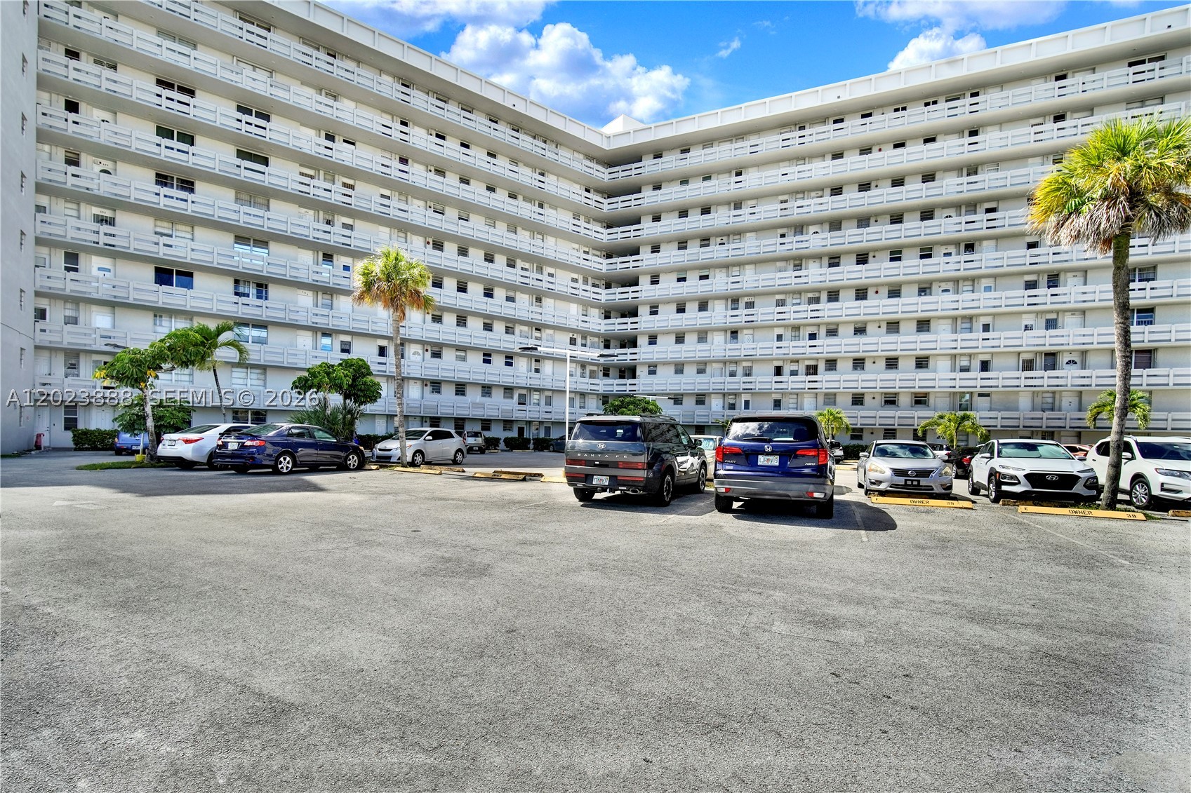 Miami photo 3