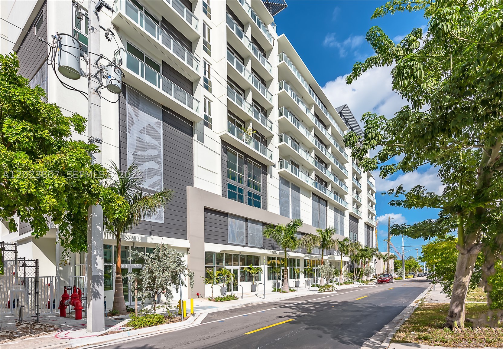 Miami photo 3