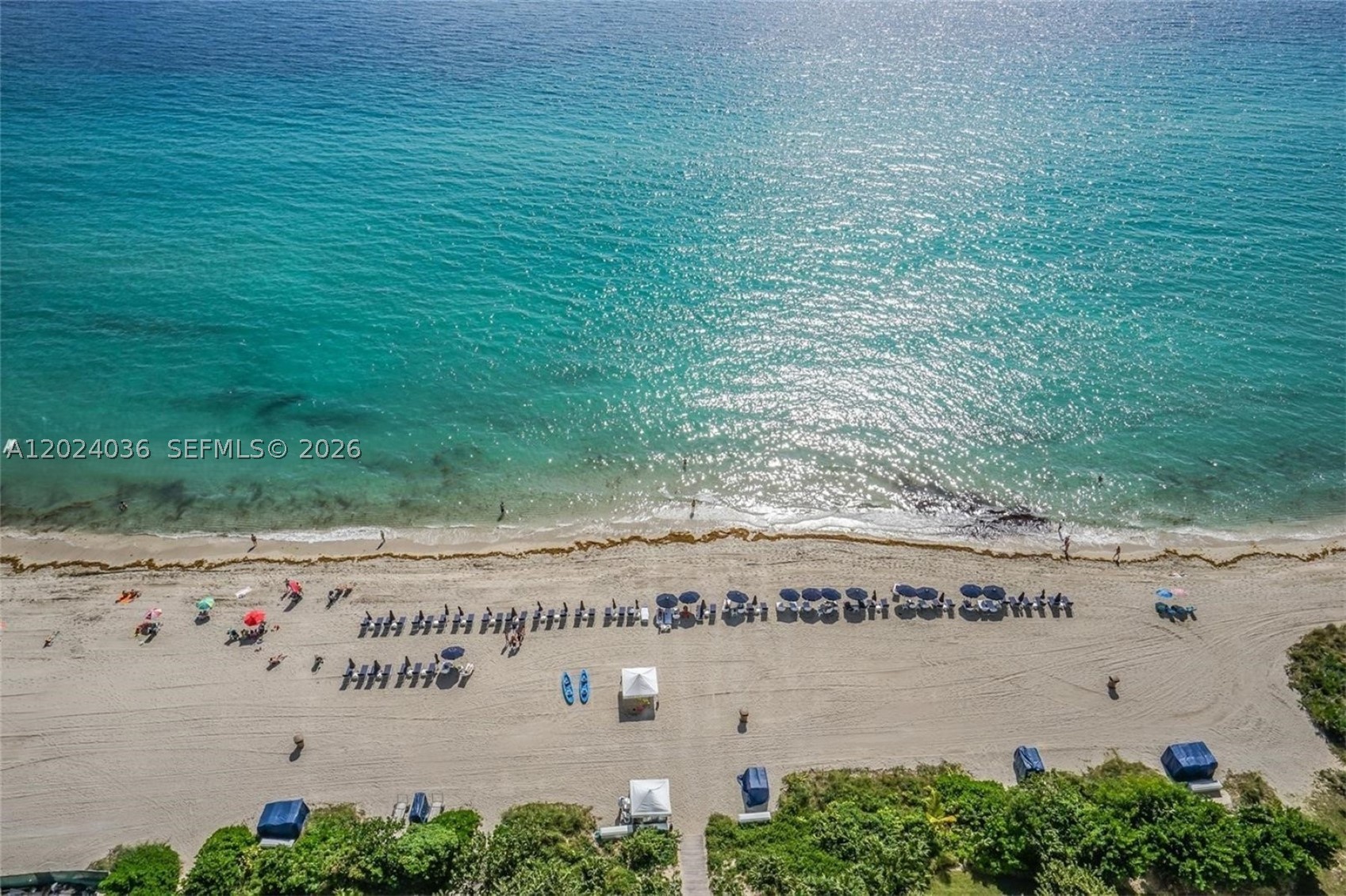 Sunny Isles Beach photo 3