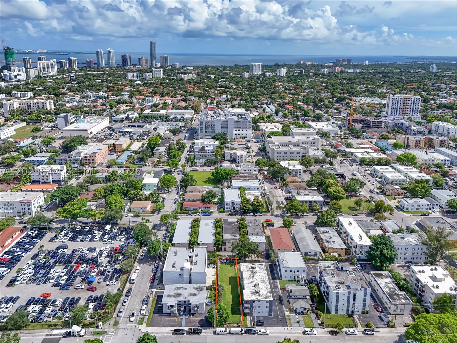 Miami photo 5