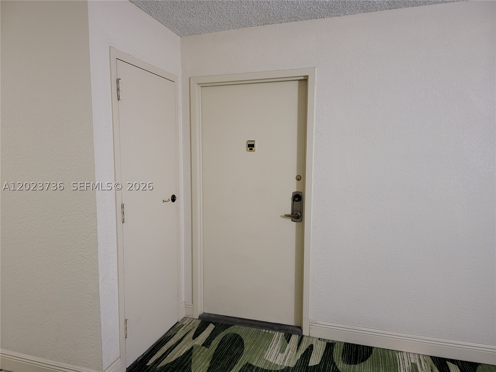 Hallandale Beach photo 5