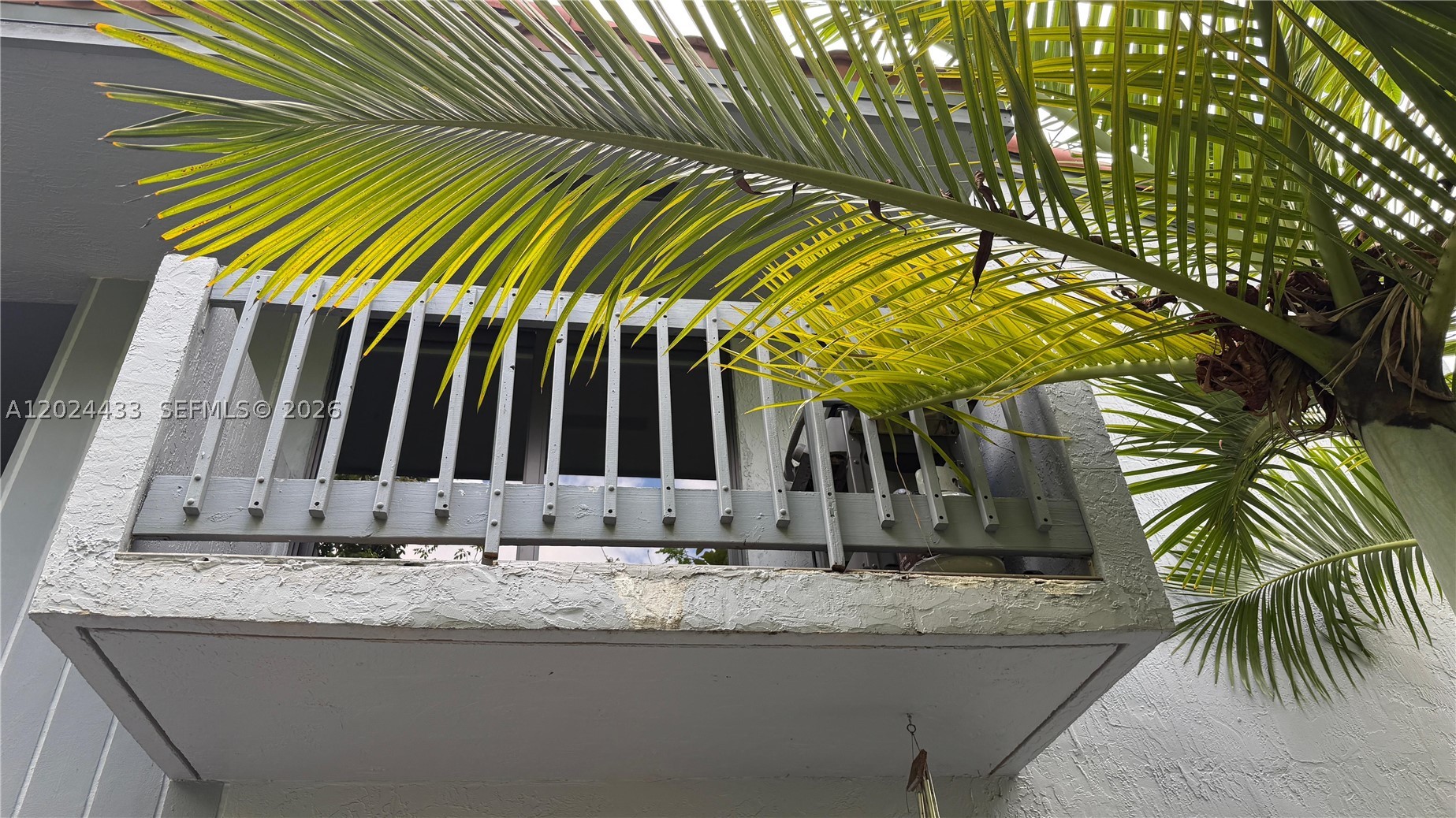 Miami photo 3