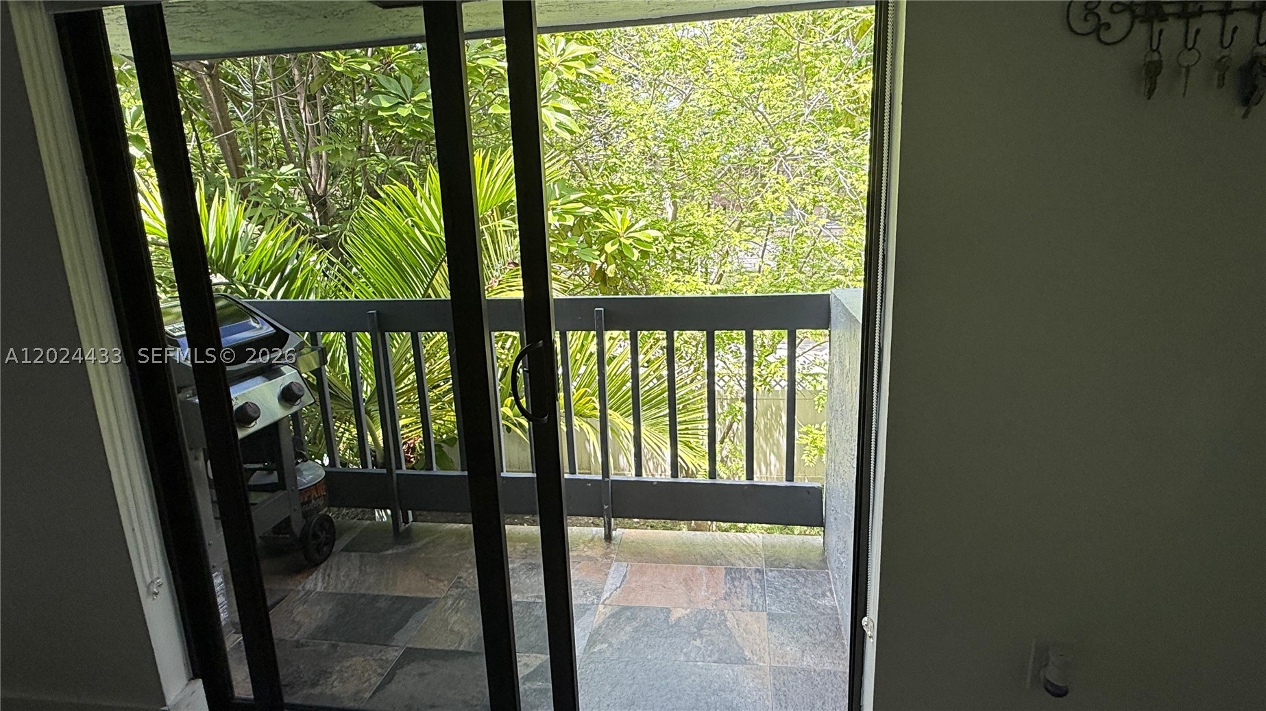 Miami photo 4