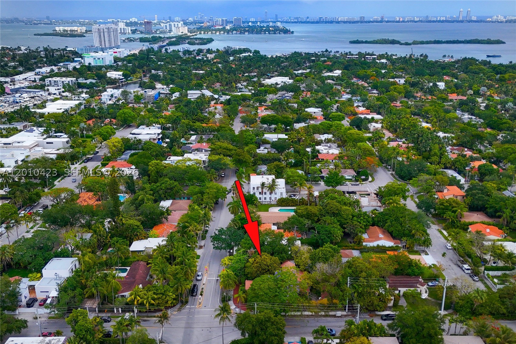 Miami photo 2