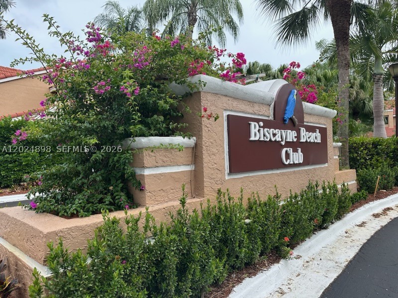 Miami photo 1