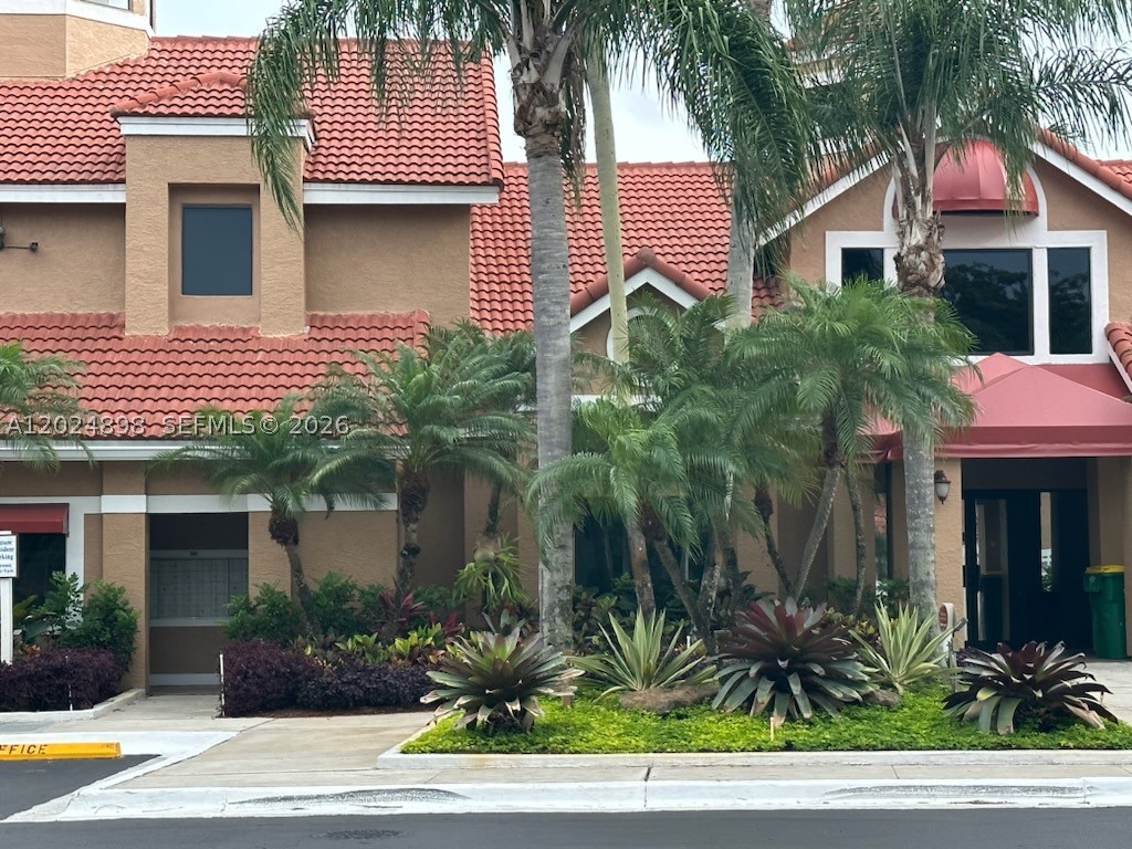 Miami photo 2
