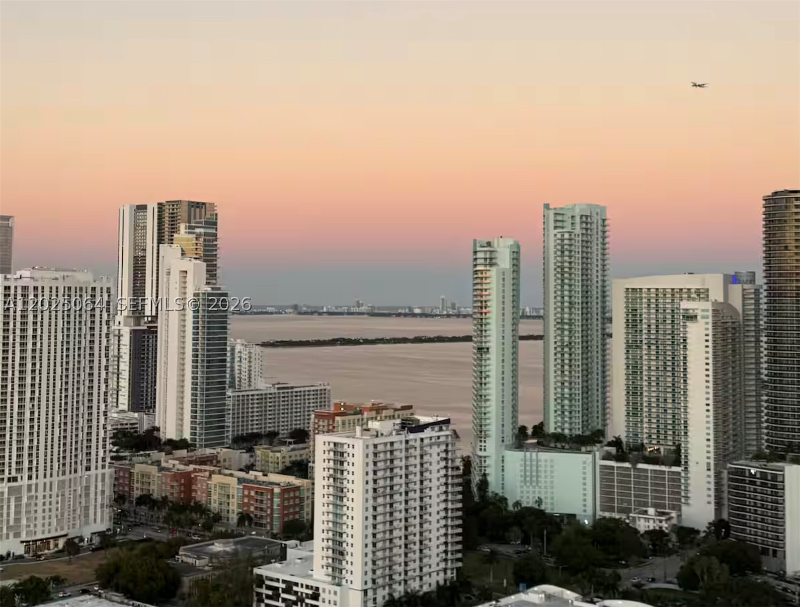 Miami photo 1