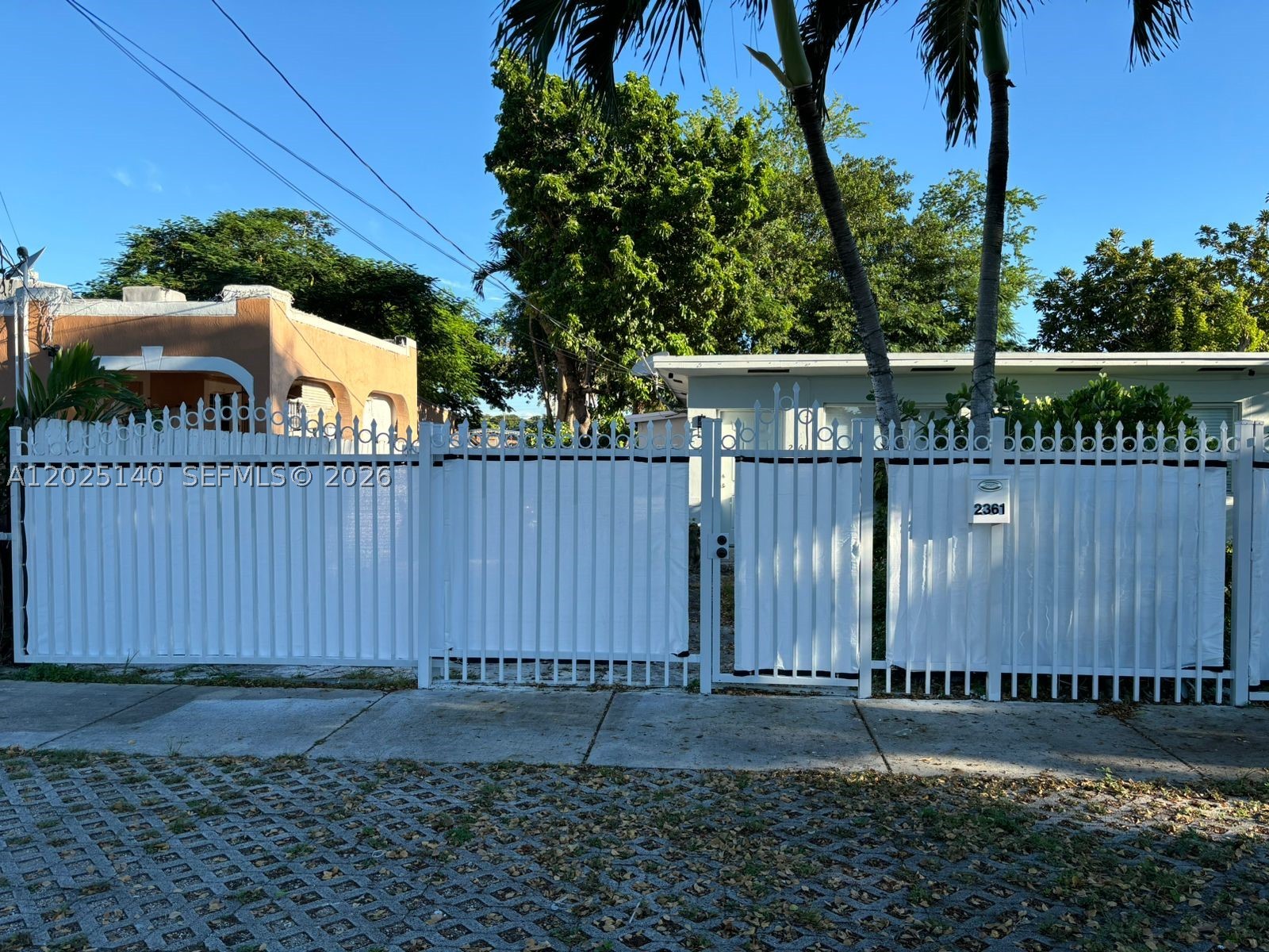 Miami photo 1