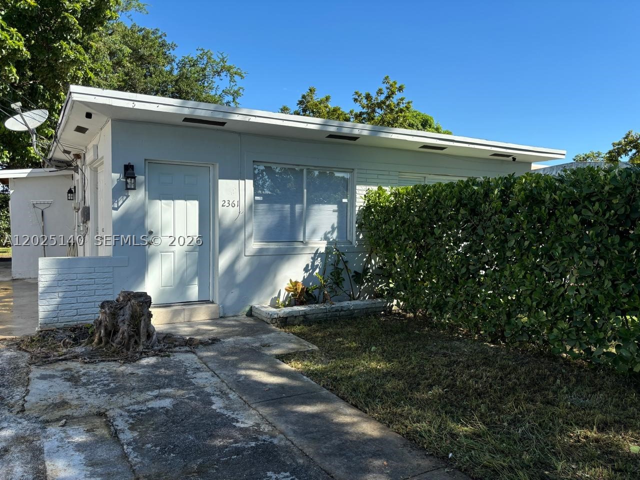 Miami photo 2