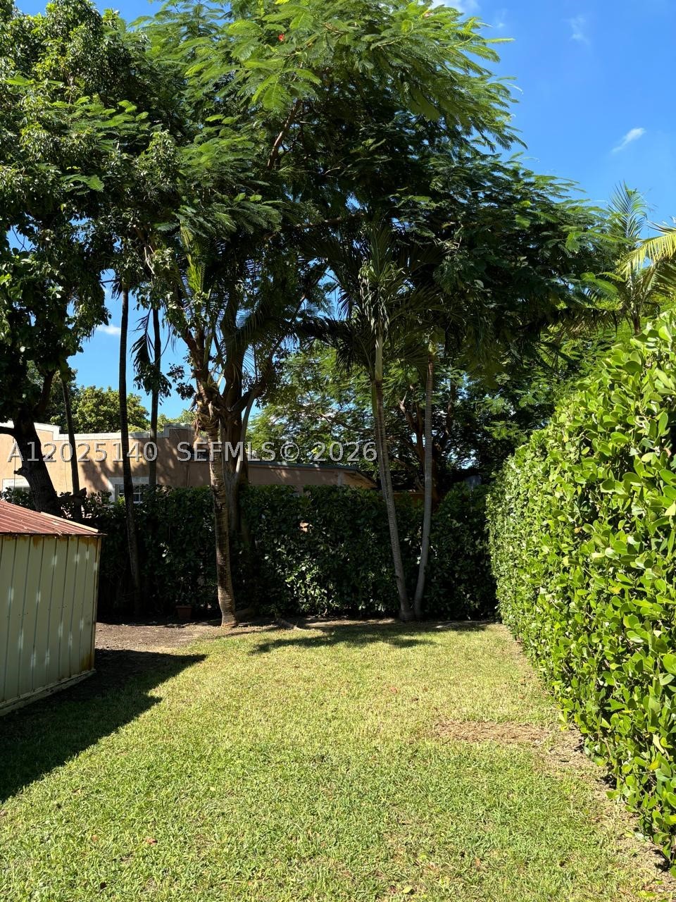 Miami photo 5