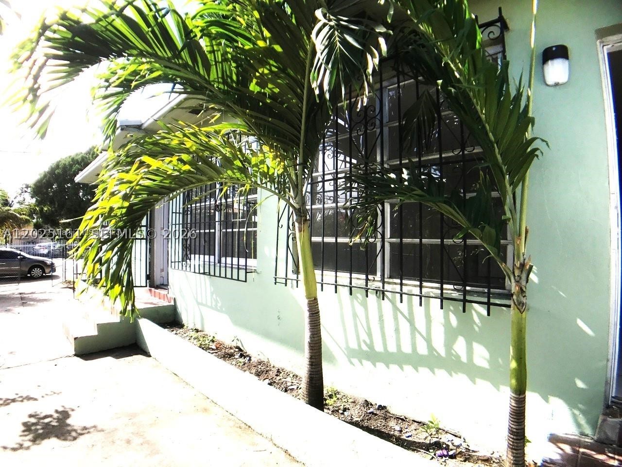 Miami photo 3