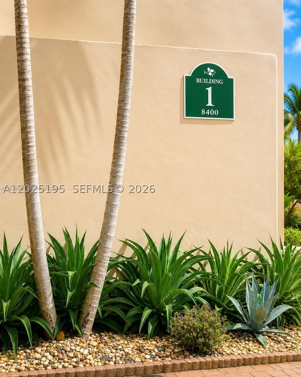 Miami photo 2