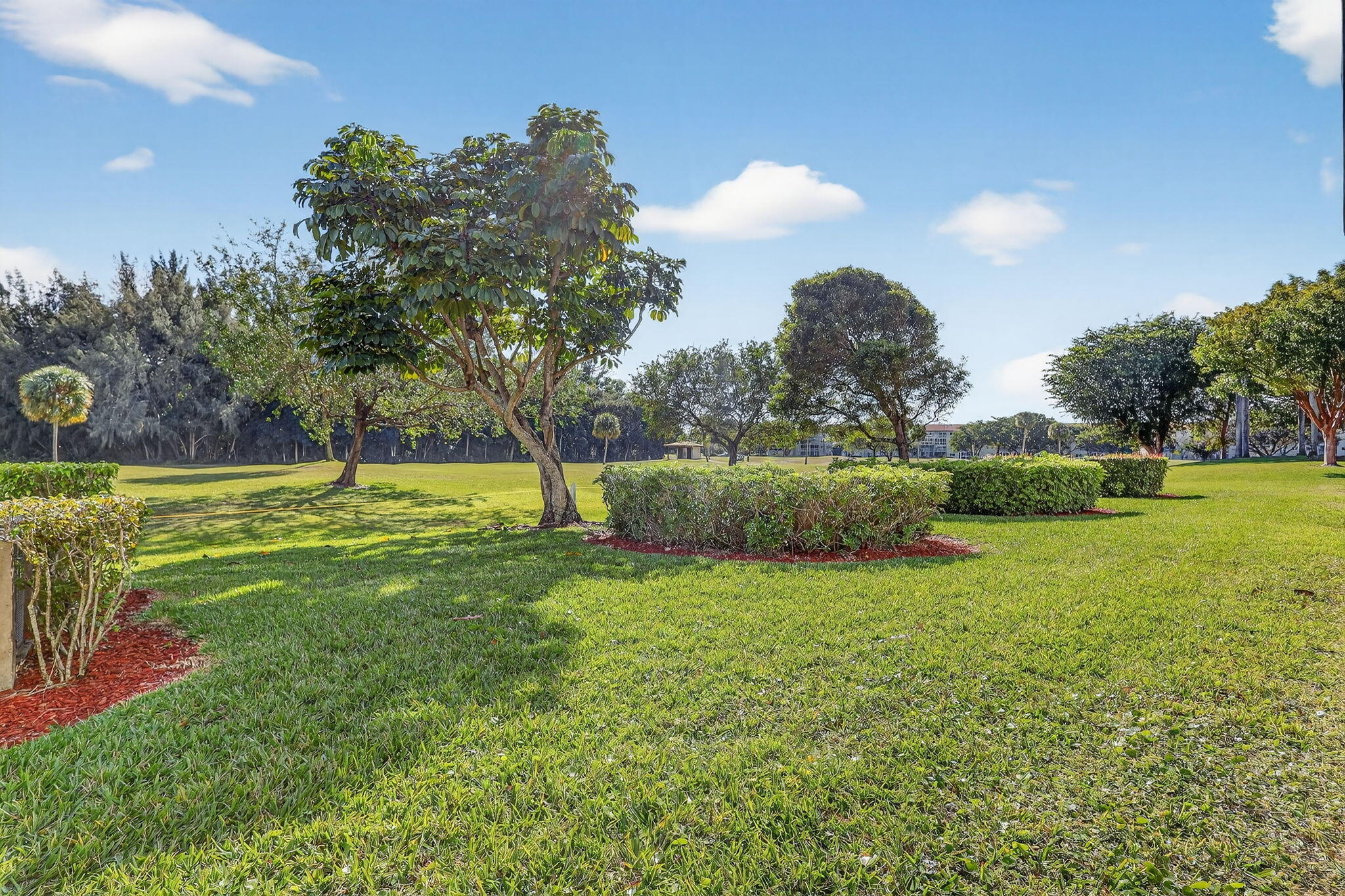 Pembroke Pines photo 2