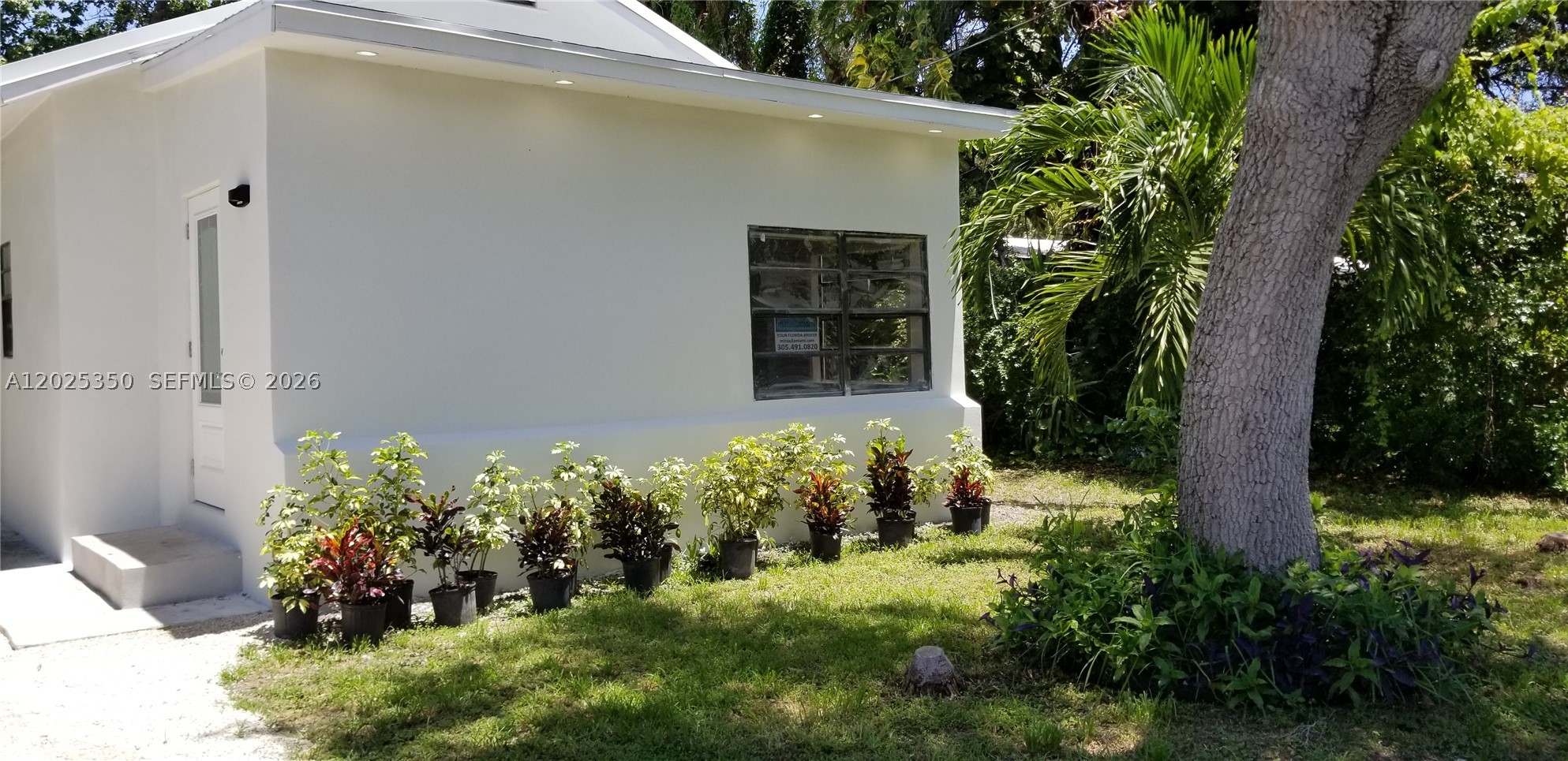 North Miami Beach photo 4