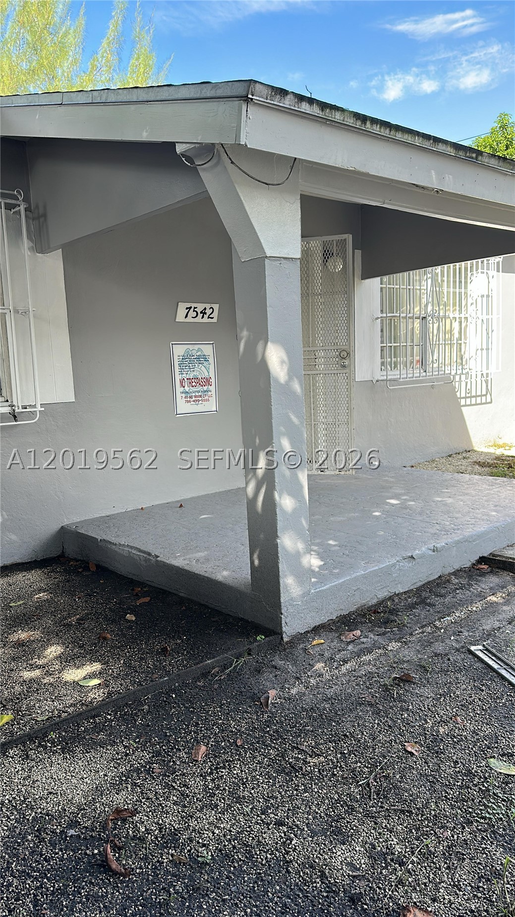 Miami photo 3