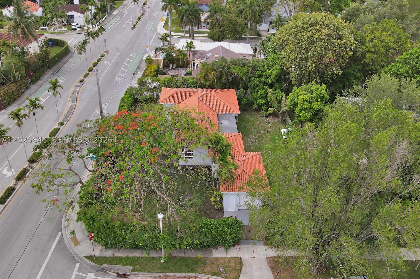 Miami photo 5