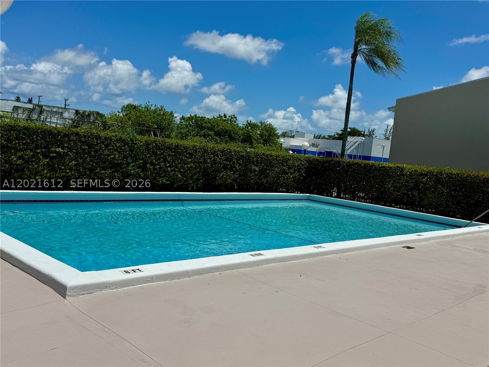 Miami Shores photo 2
