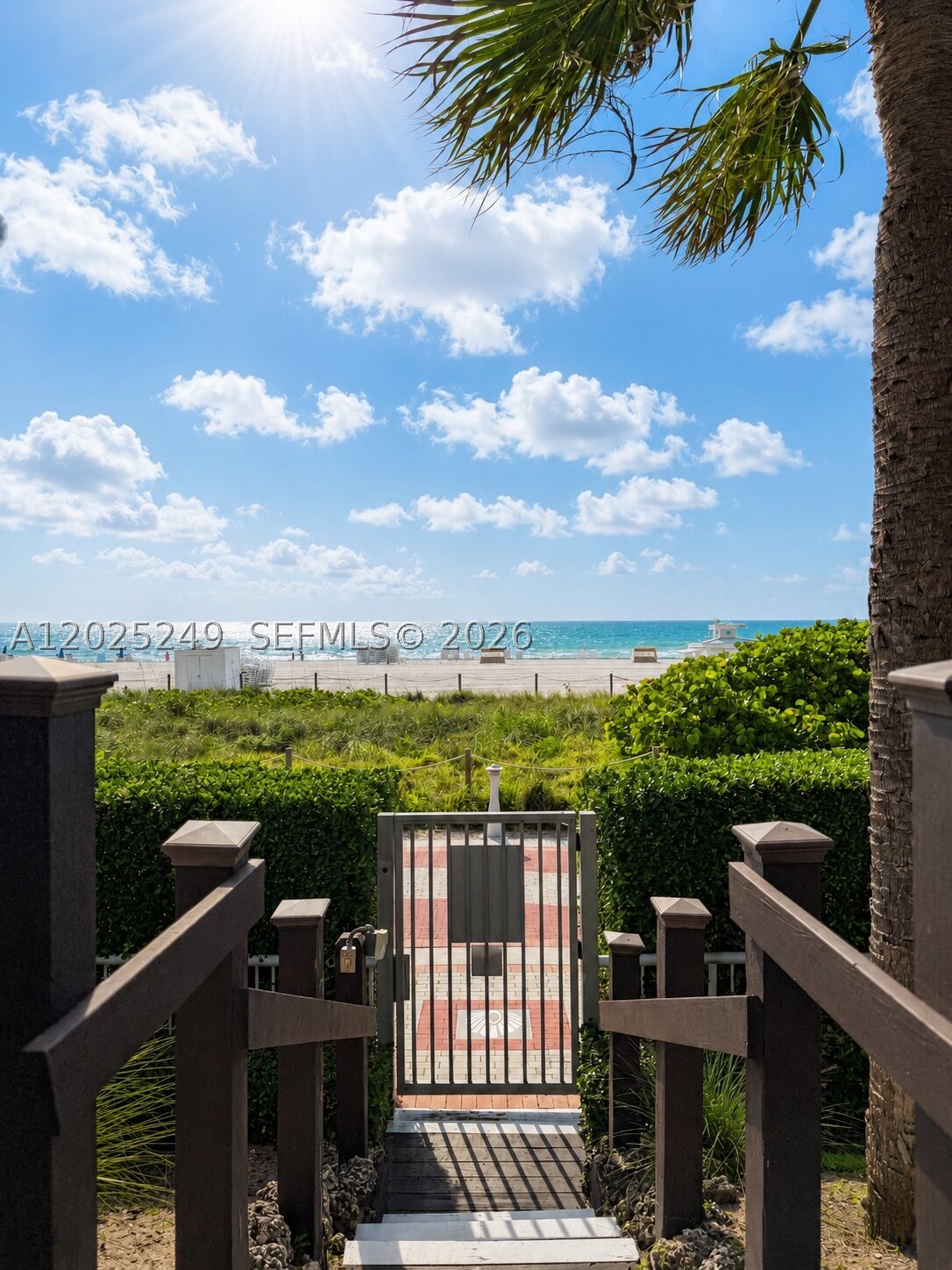 Miami Beach photo 4