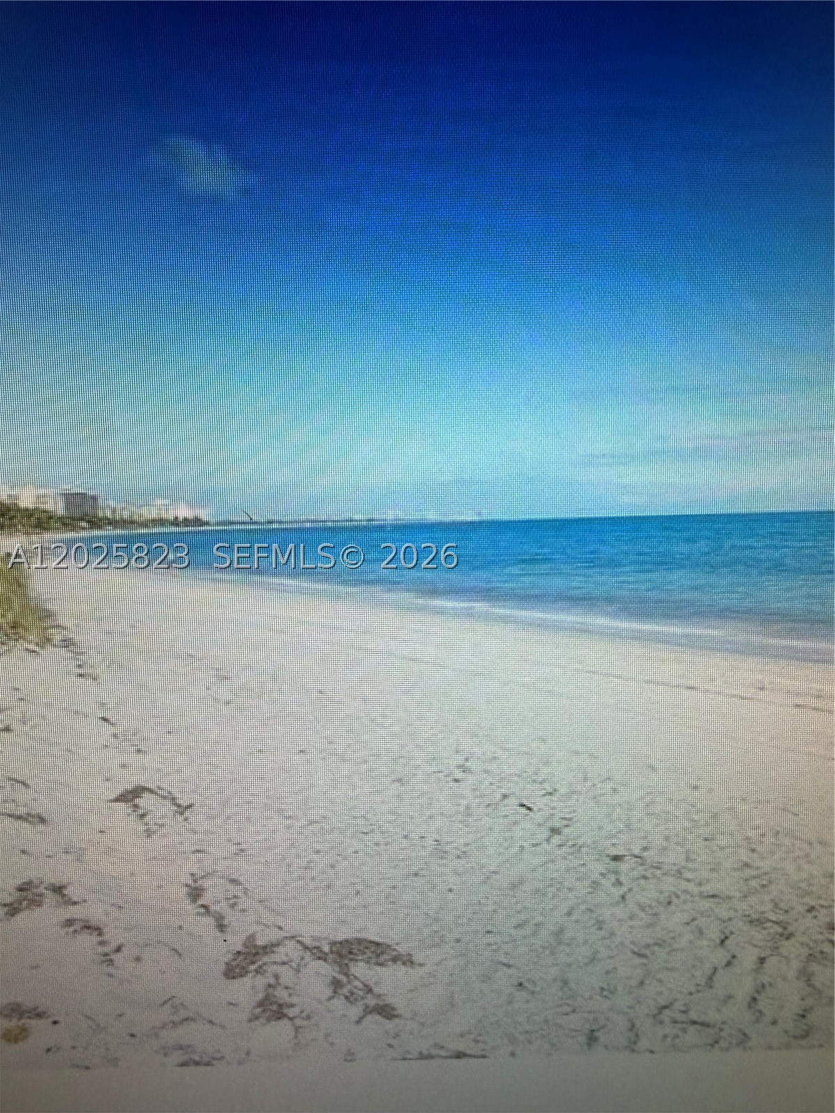 Key Biscayne photo 2