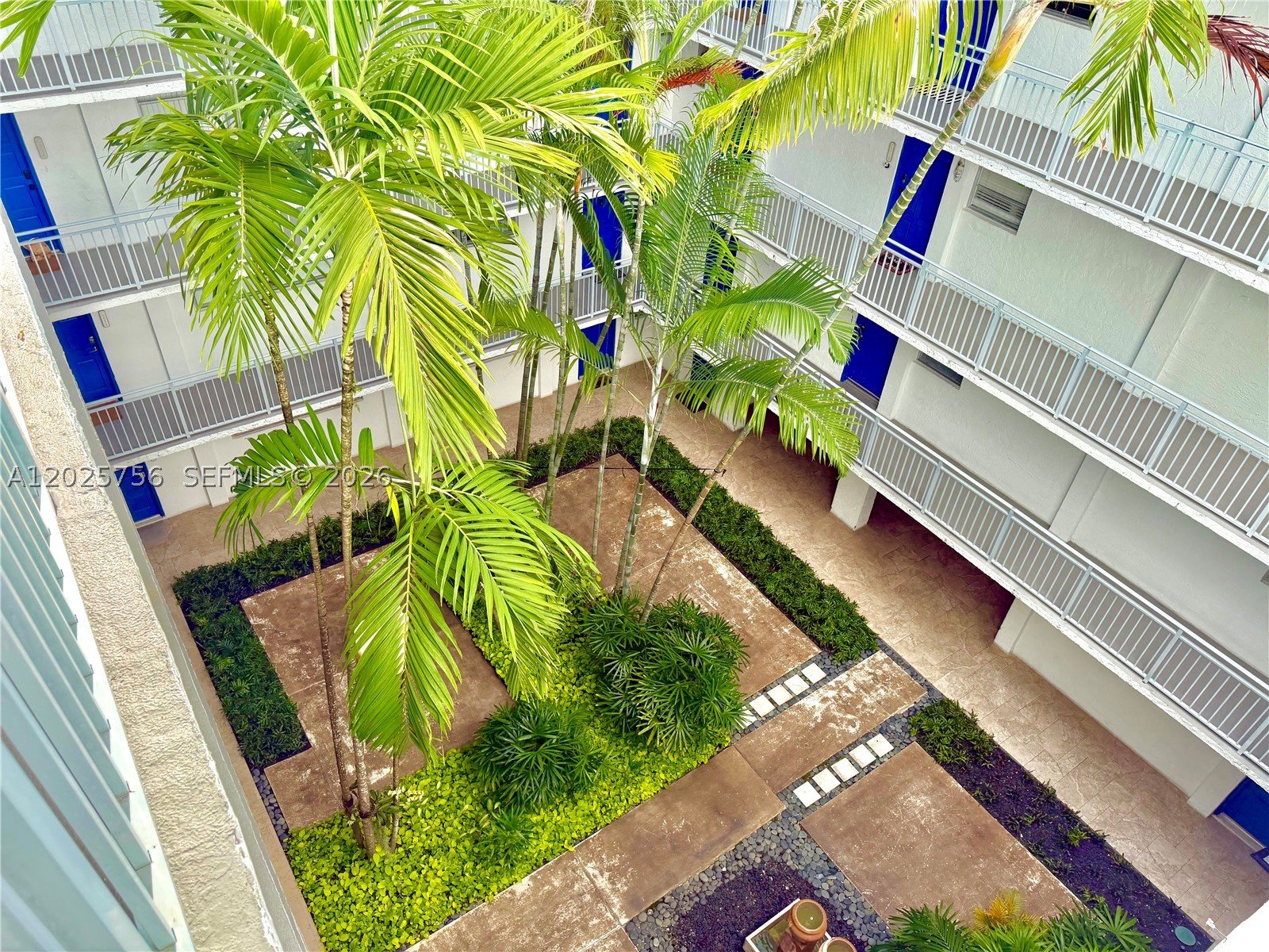 Miami photo 5