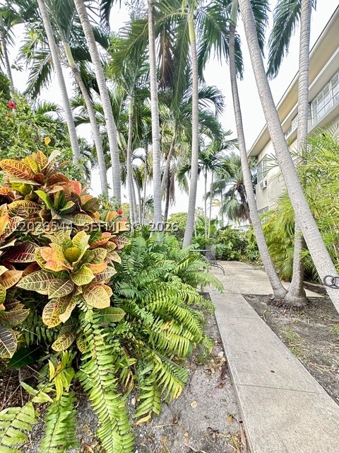Miami Beach photo 5