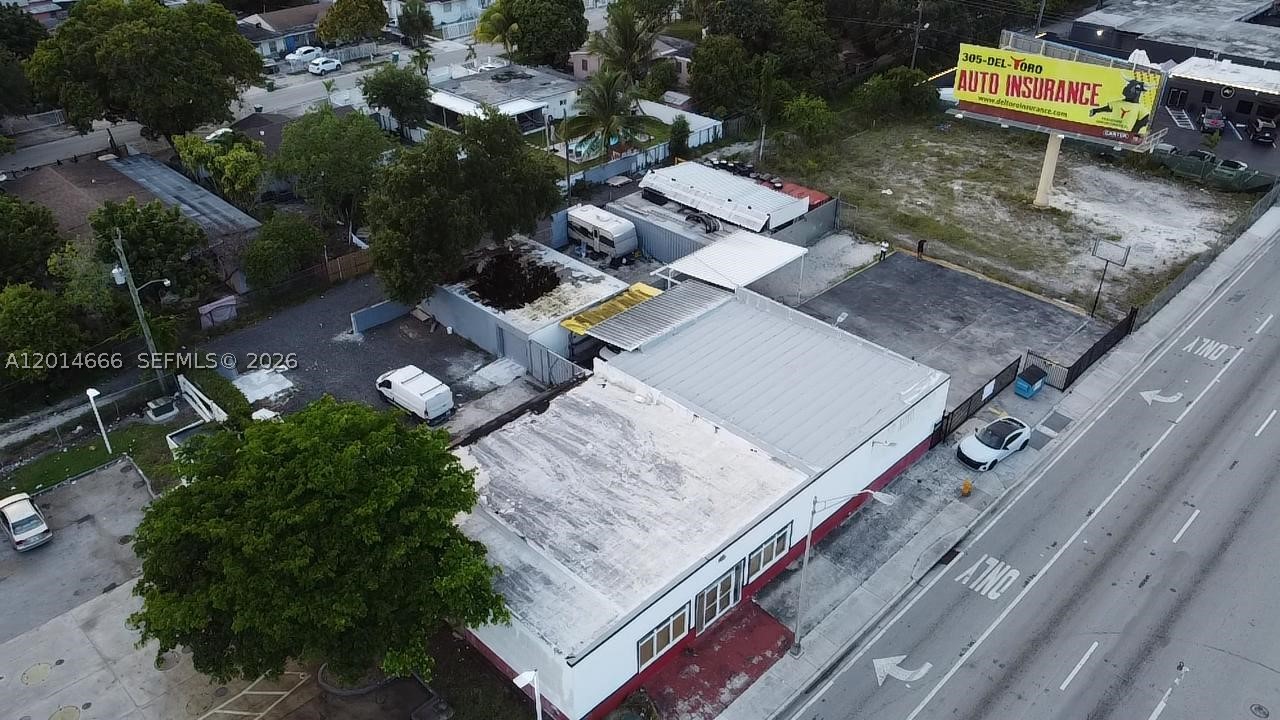 Miami photo 5