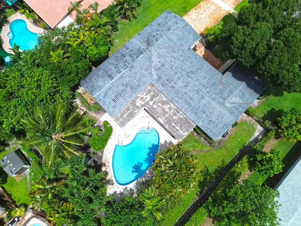 Plantation photo 2