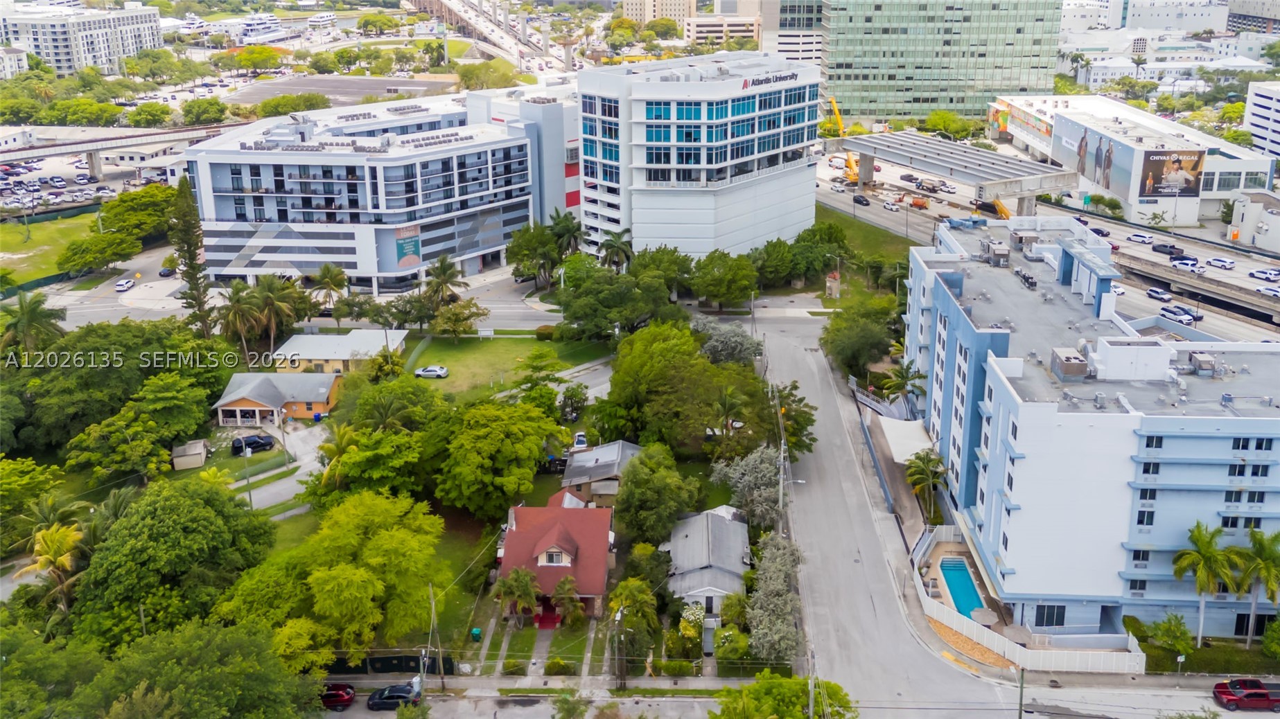 Miami photo 3