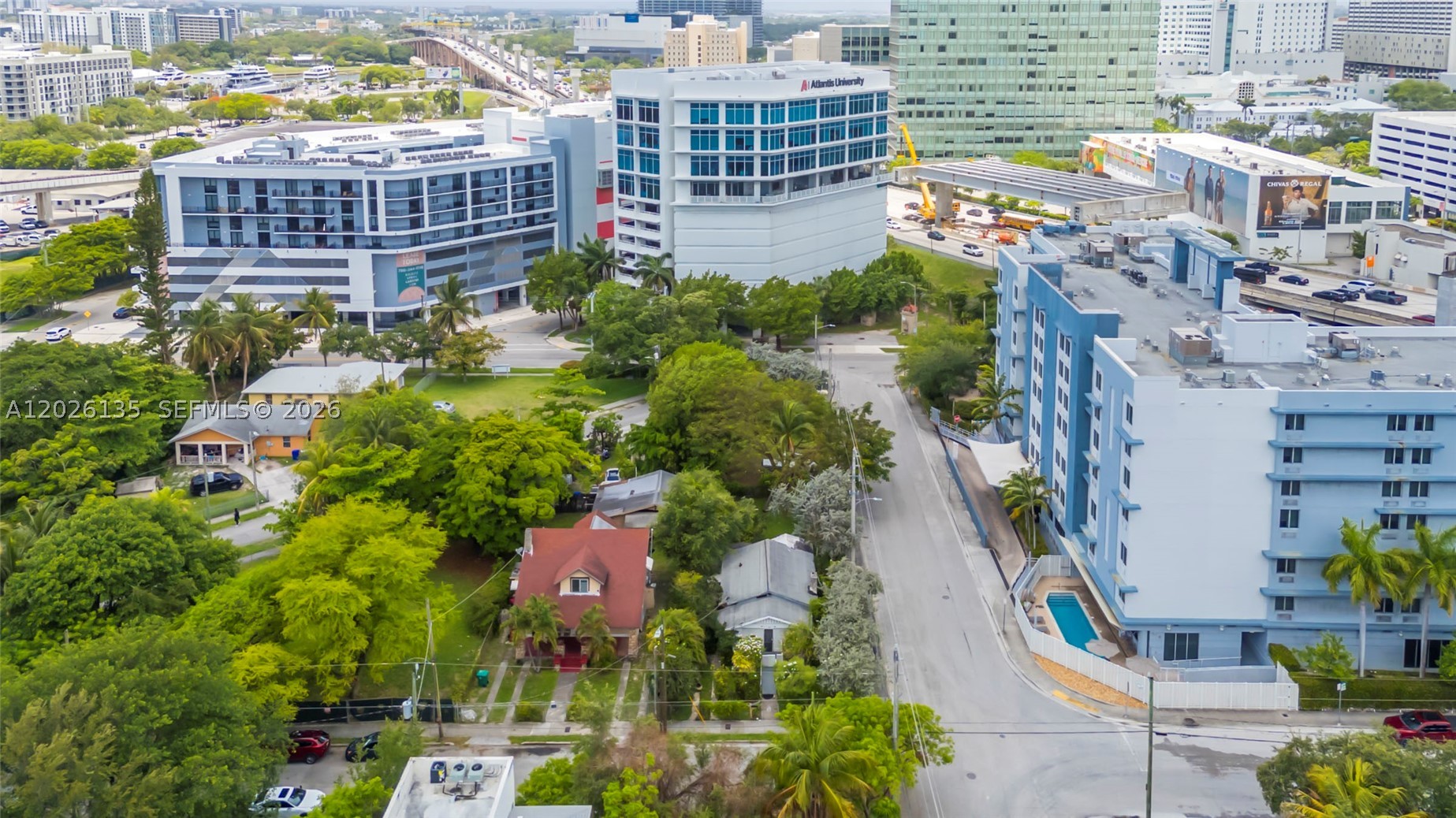 Miami photo 4