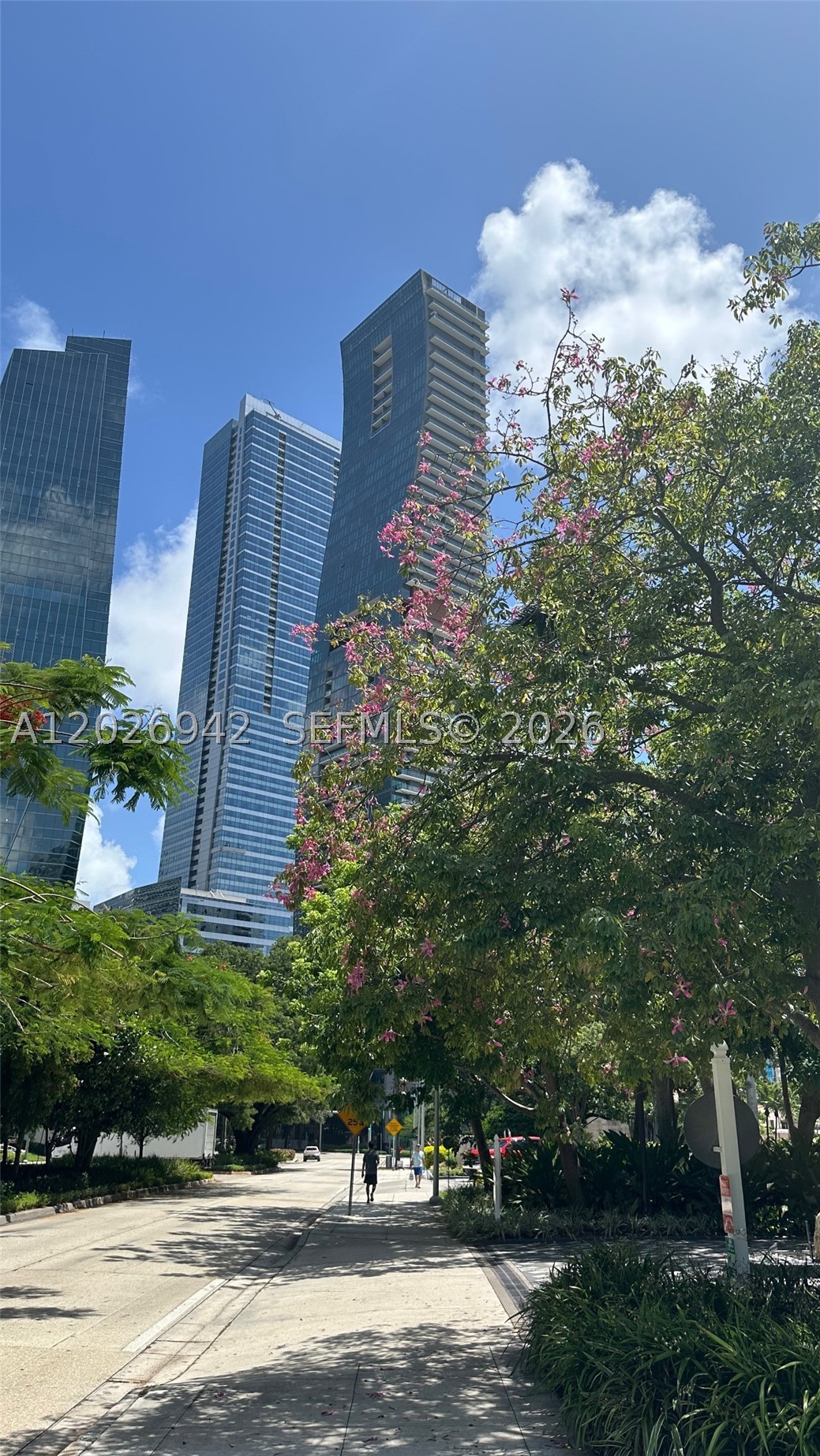 Miami photo 1
