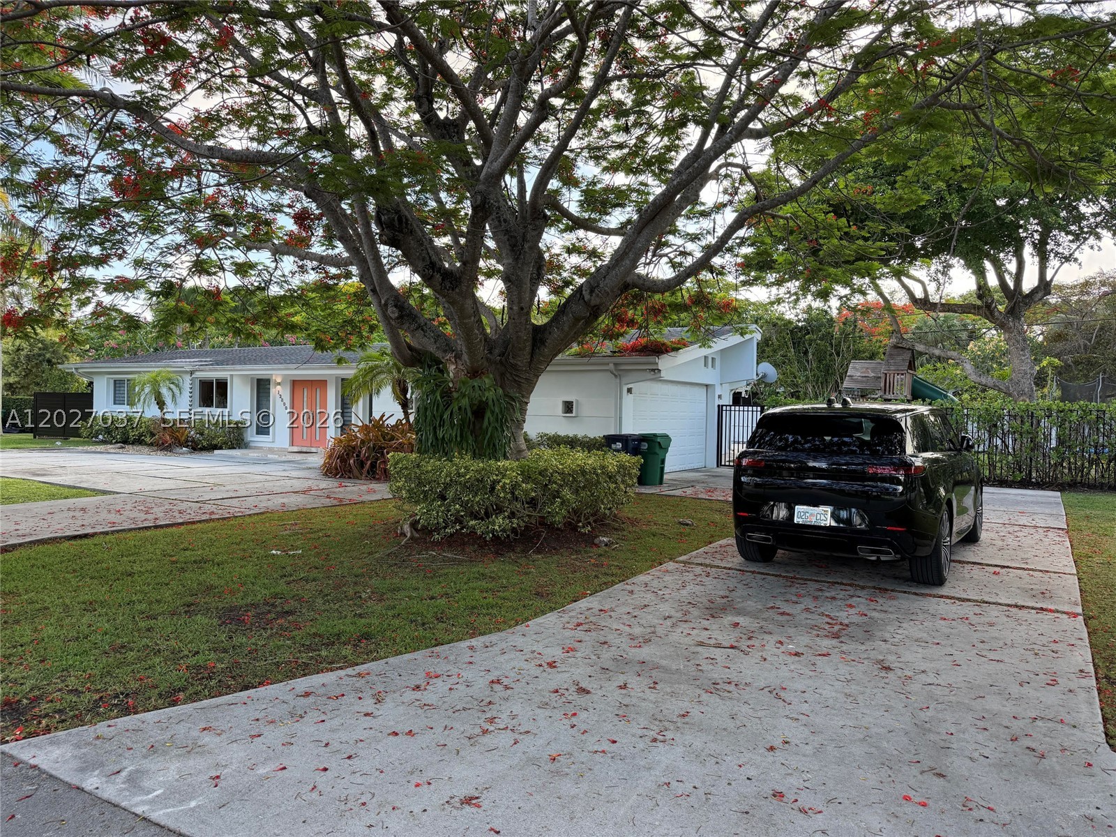 Pinecrest photo 2