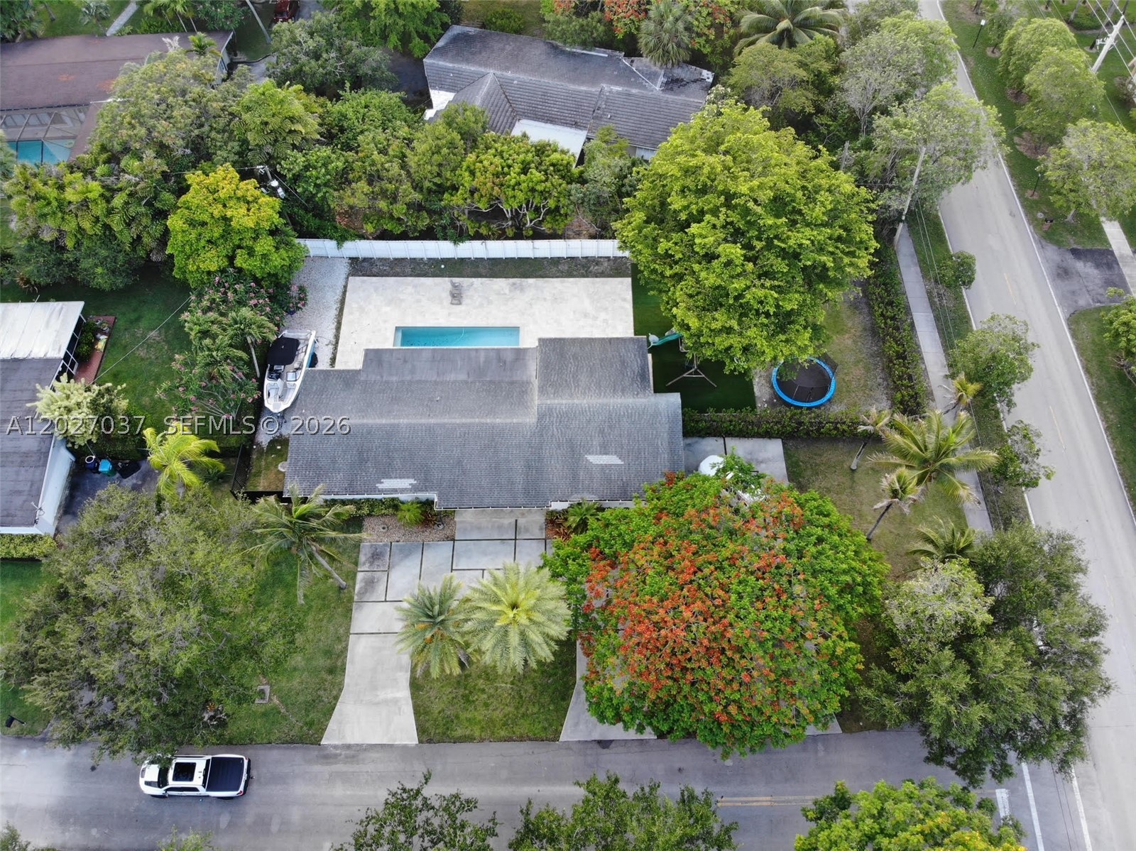Pinecrest photo 5