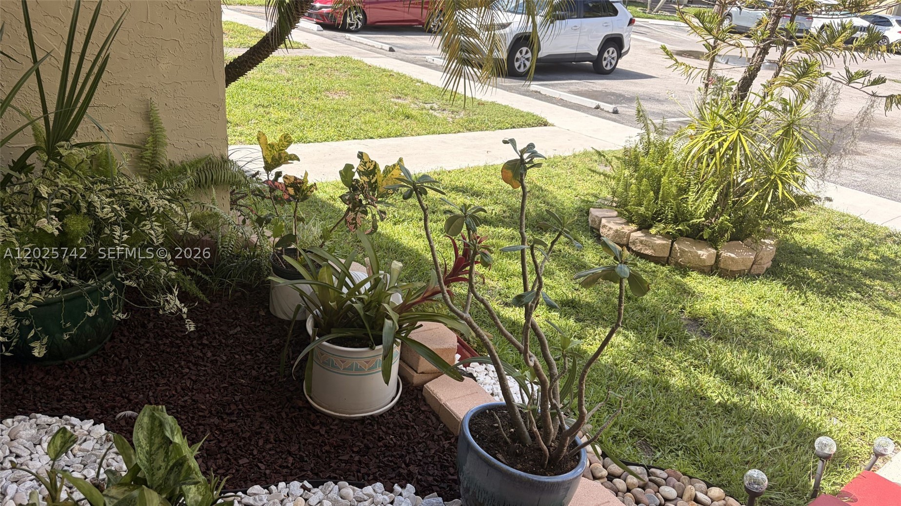 Pembroke Pines photo 2