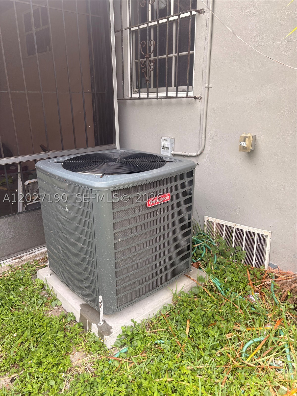 Miami photo 3
