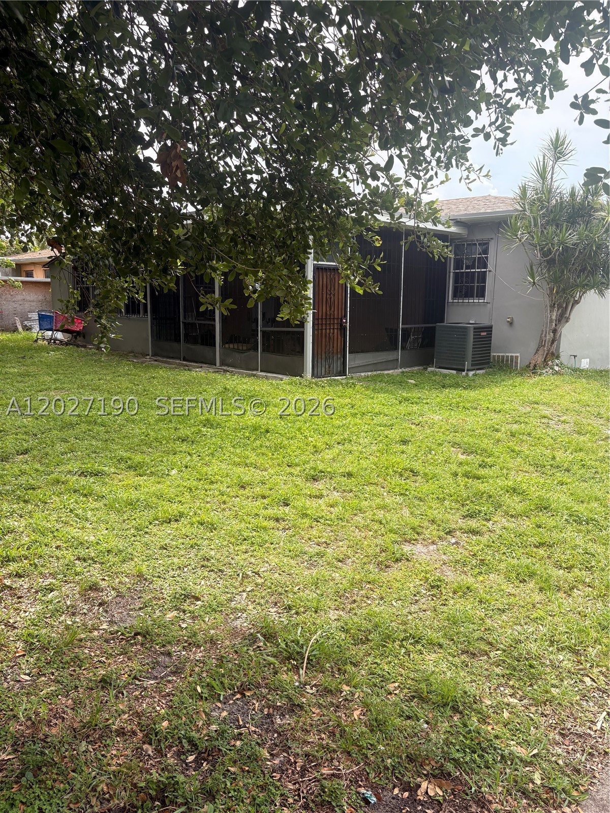 Miami photo 4