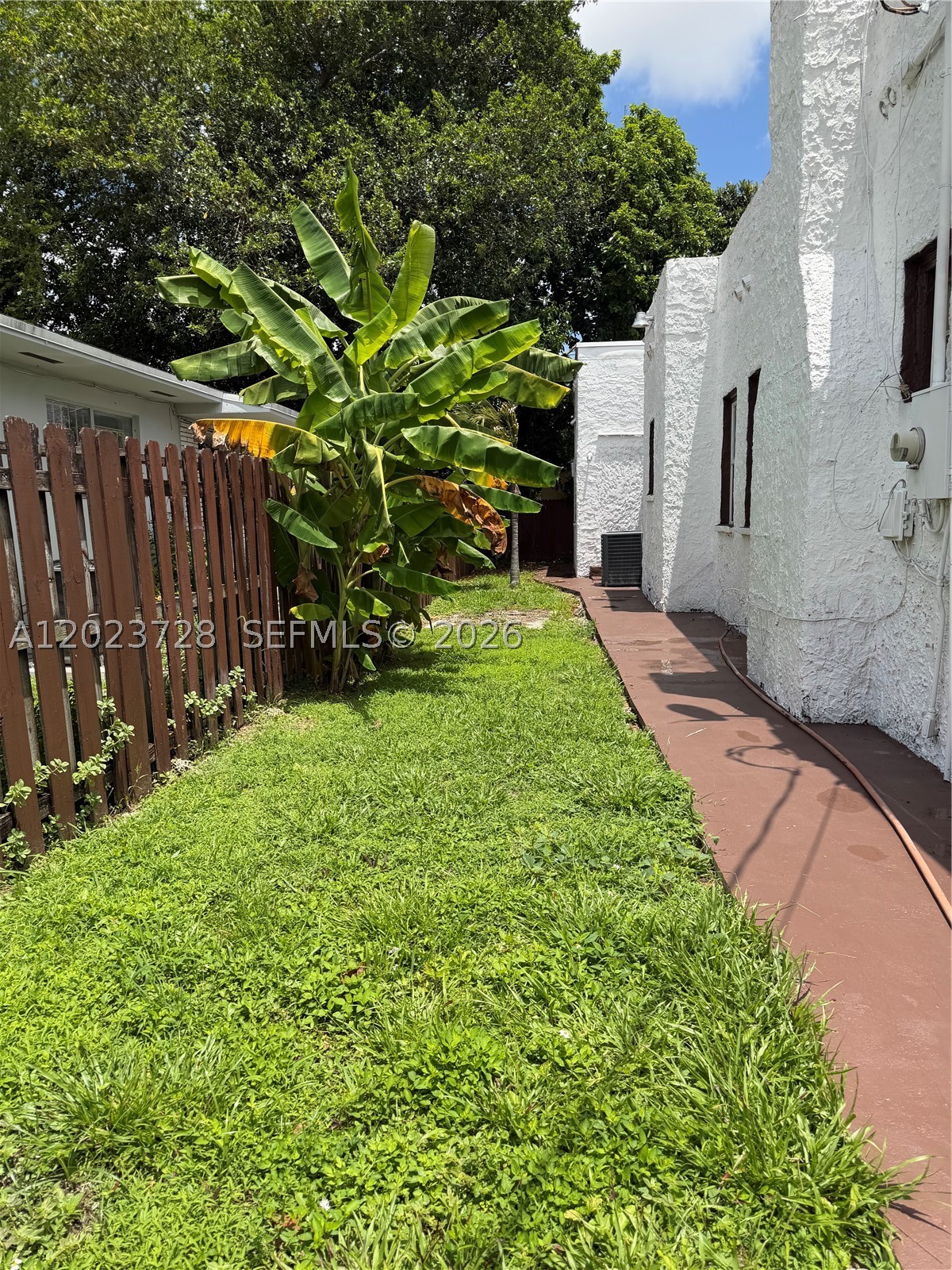 Miami photo 5