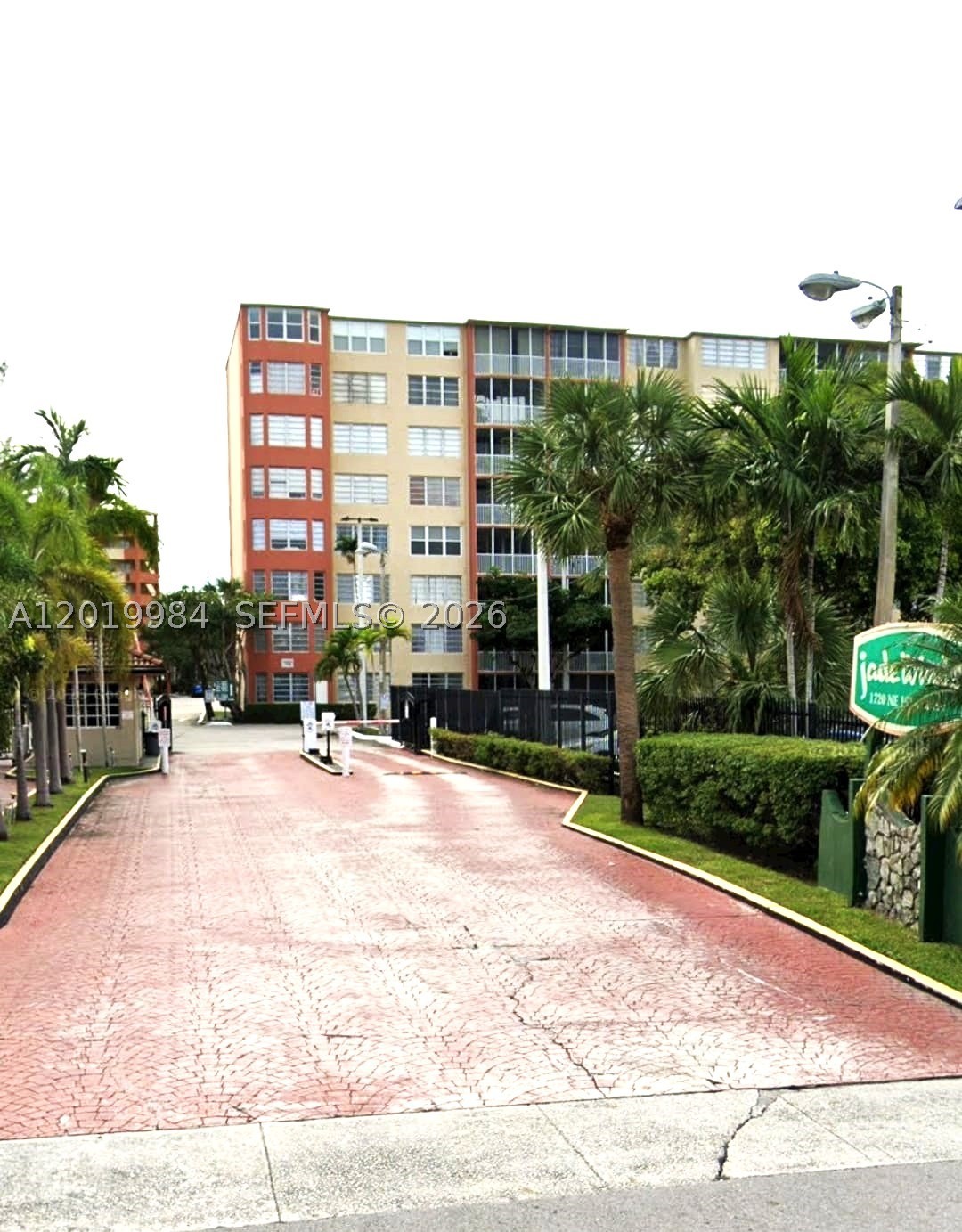 Miami photo 3