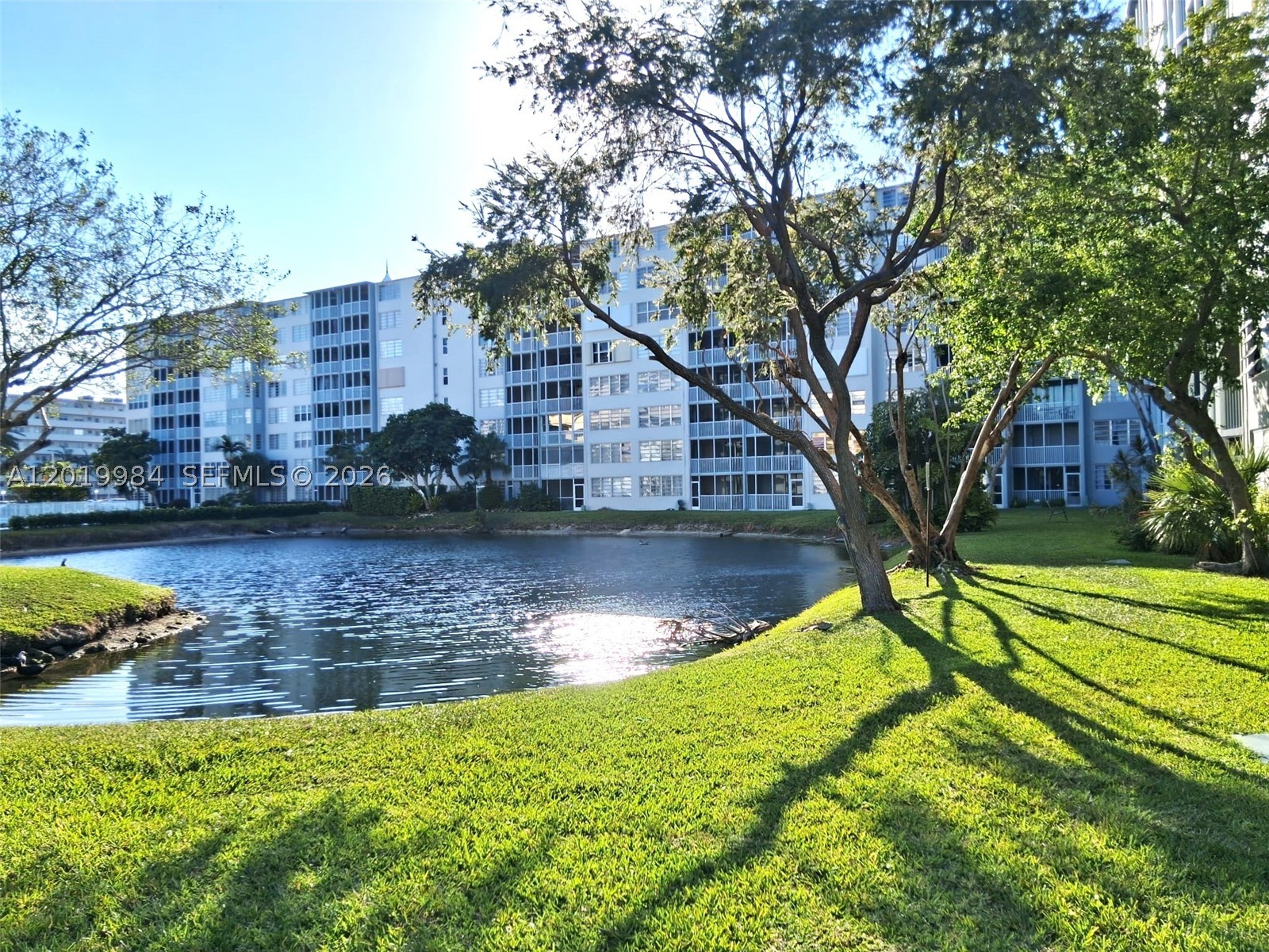 Miami photo 4