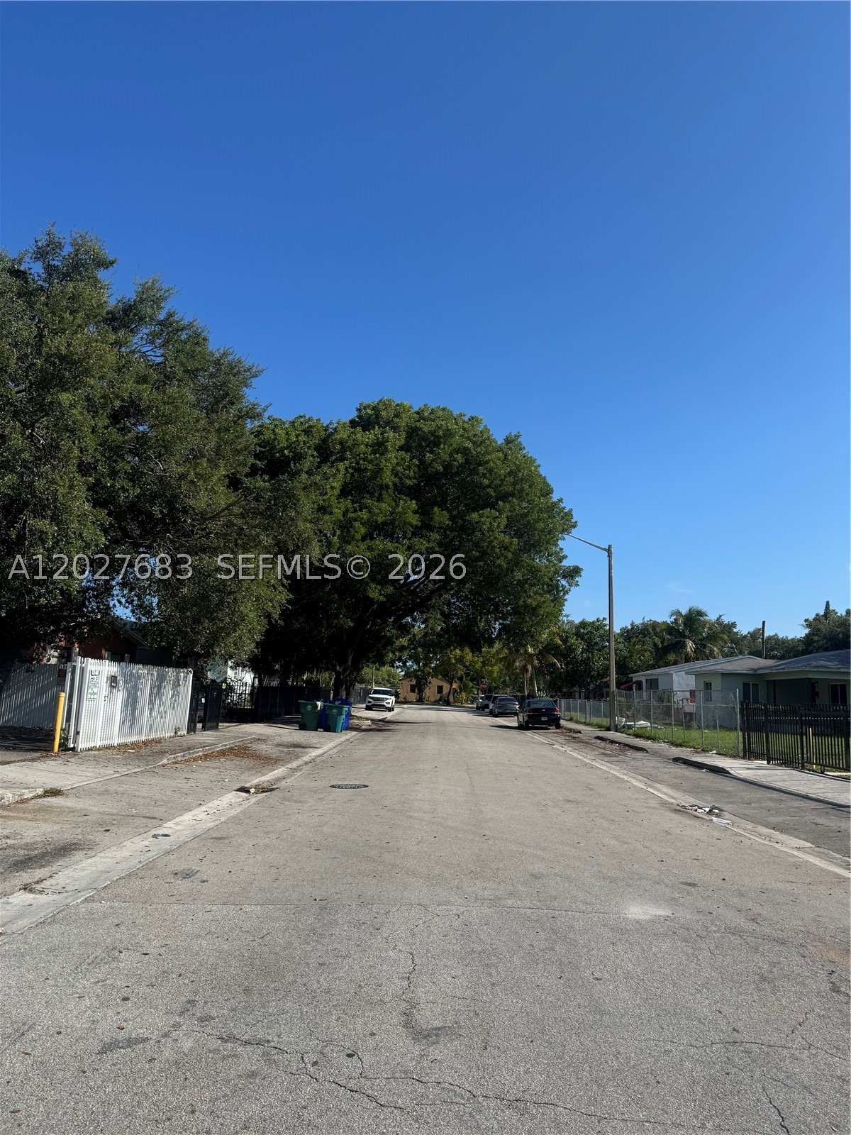 Miami photo 4